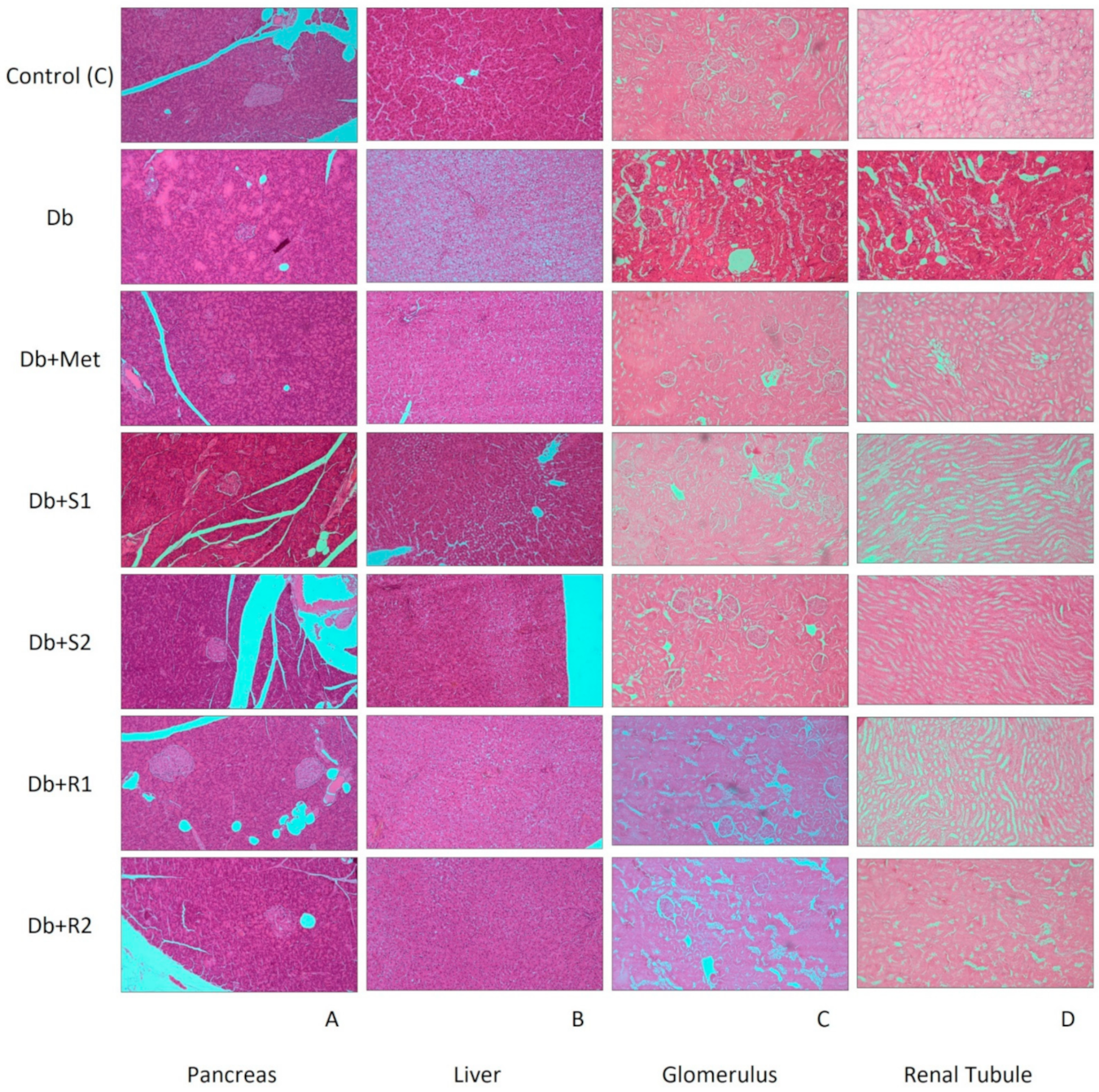 Nutrients 13 00112 g005