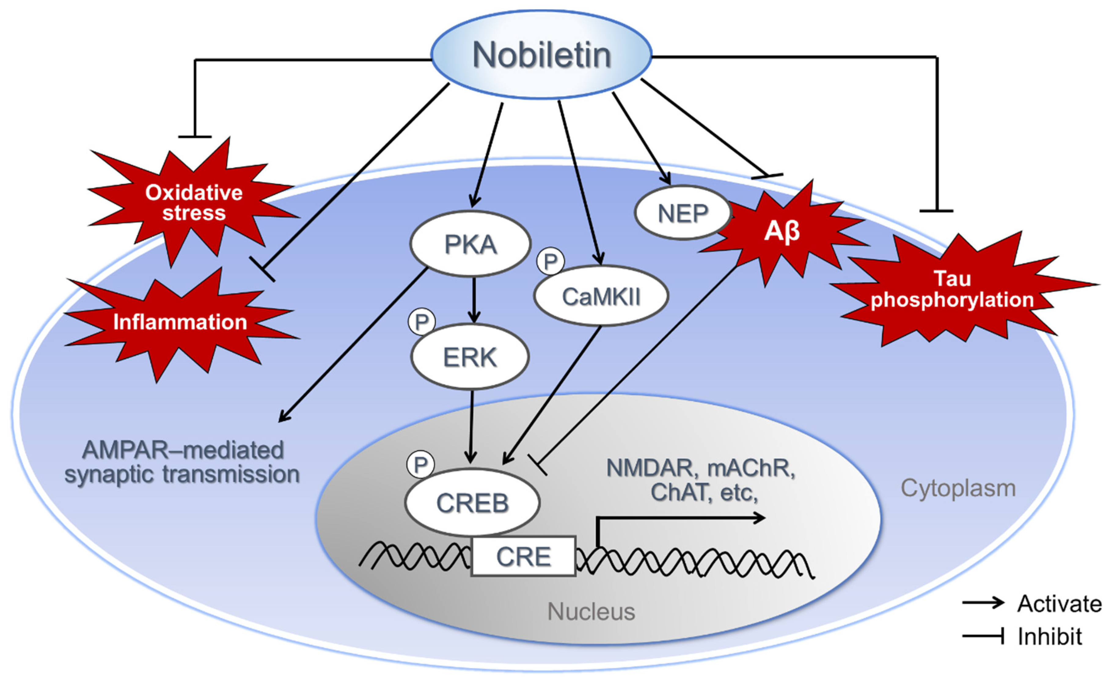 Nutrients 13 00145 g002