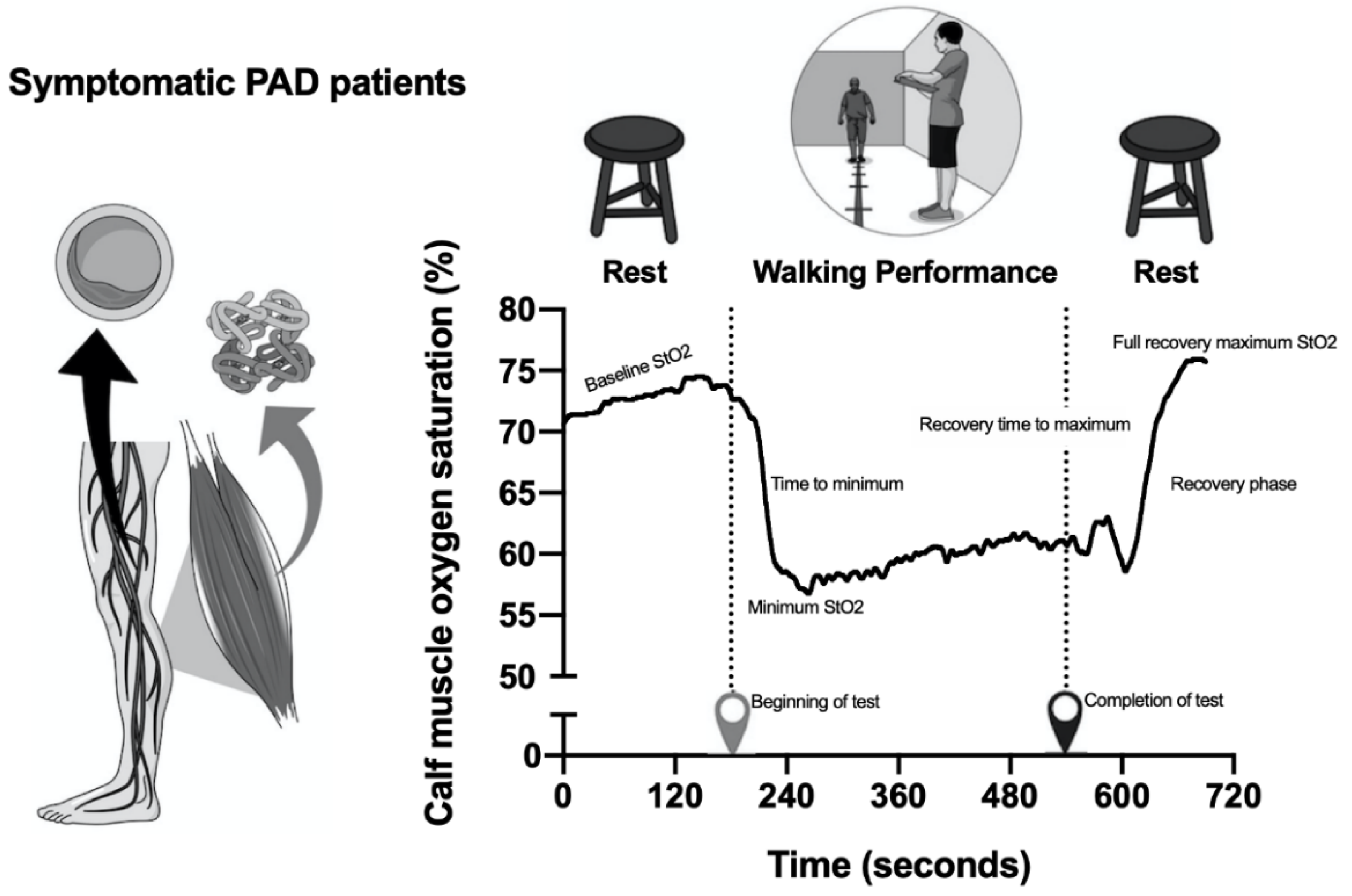 Nutrients 13 00149 g001