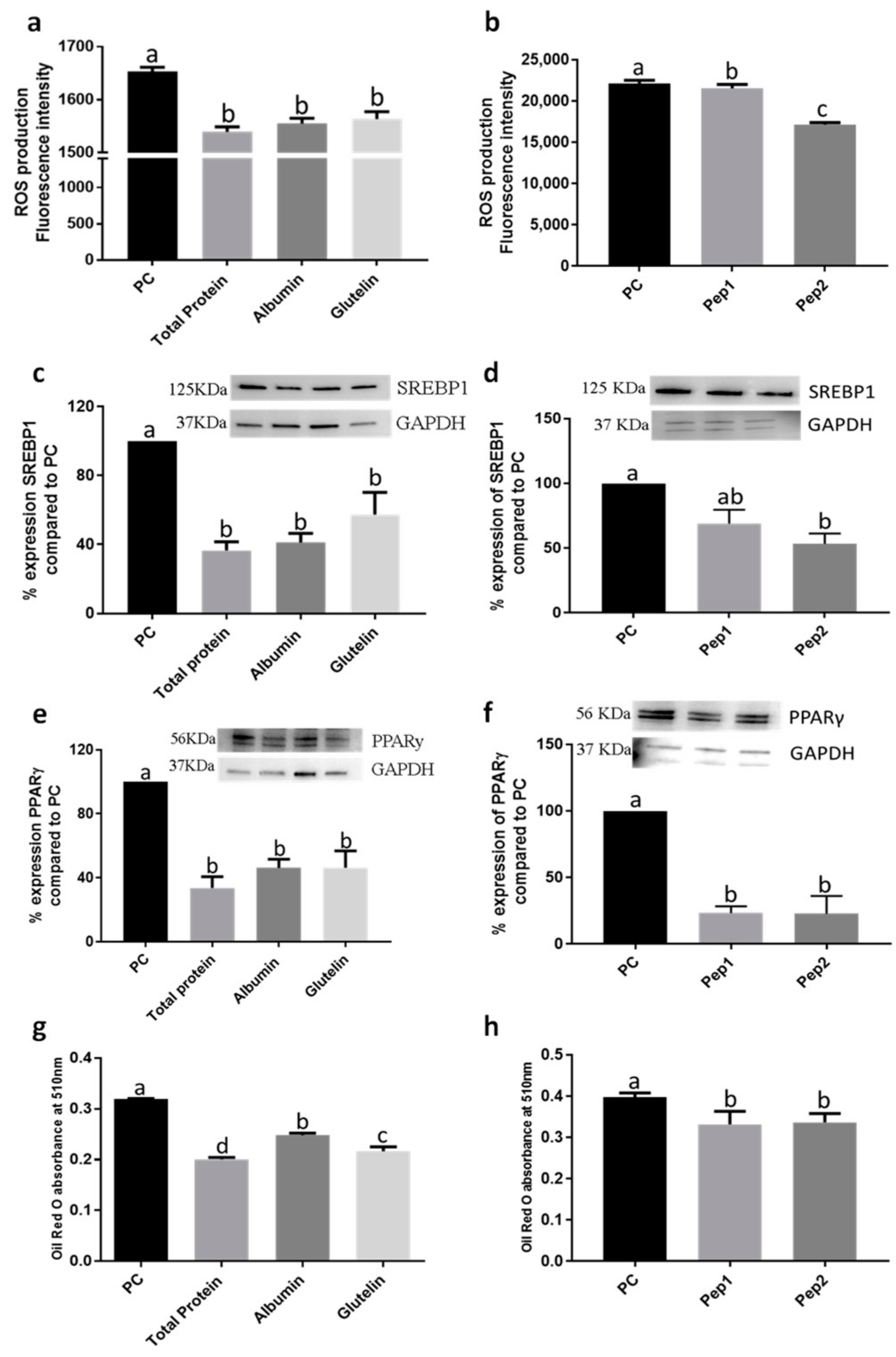 Nutrients 13 00176 g001