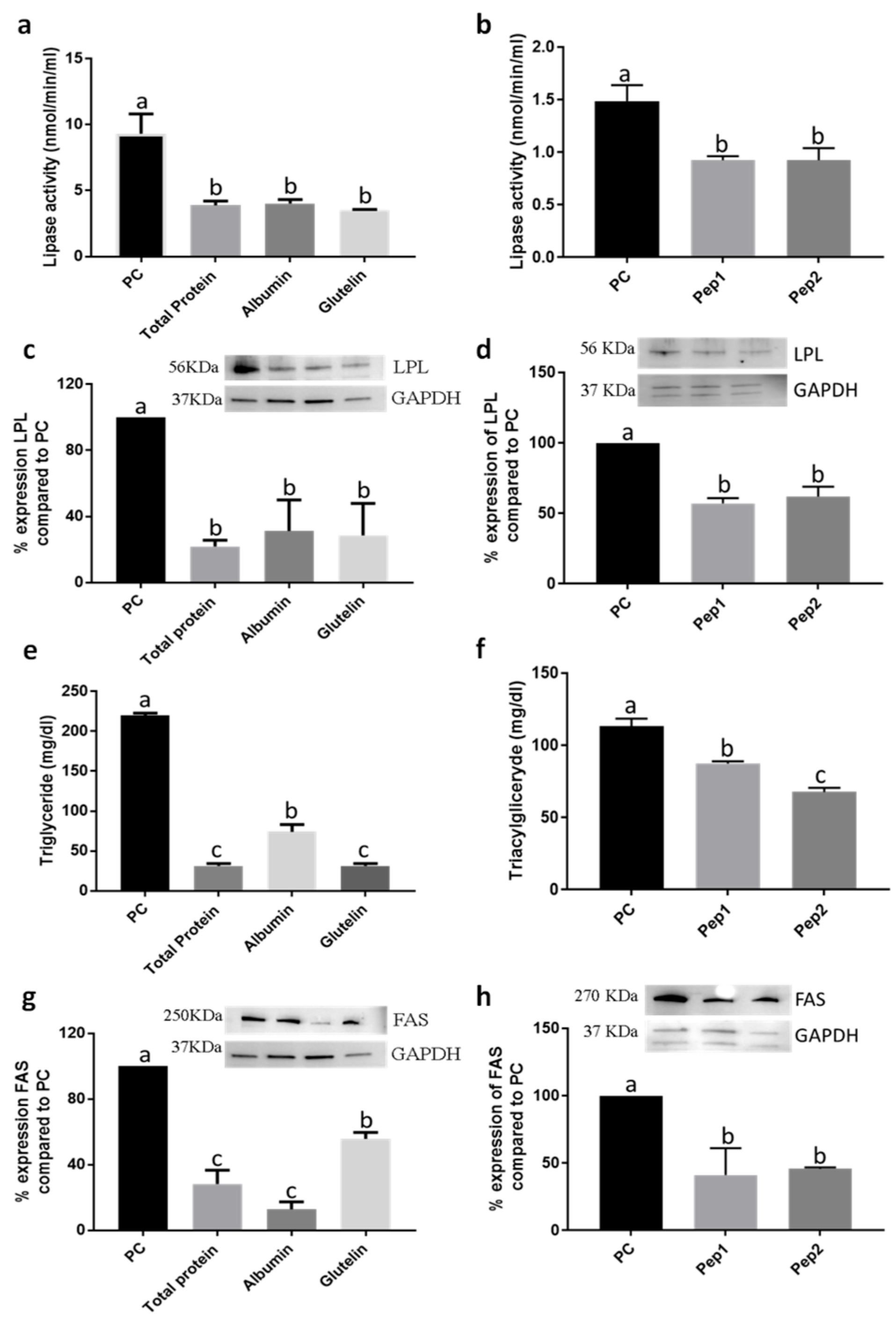 Nutrients 13 00176 g002