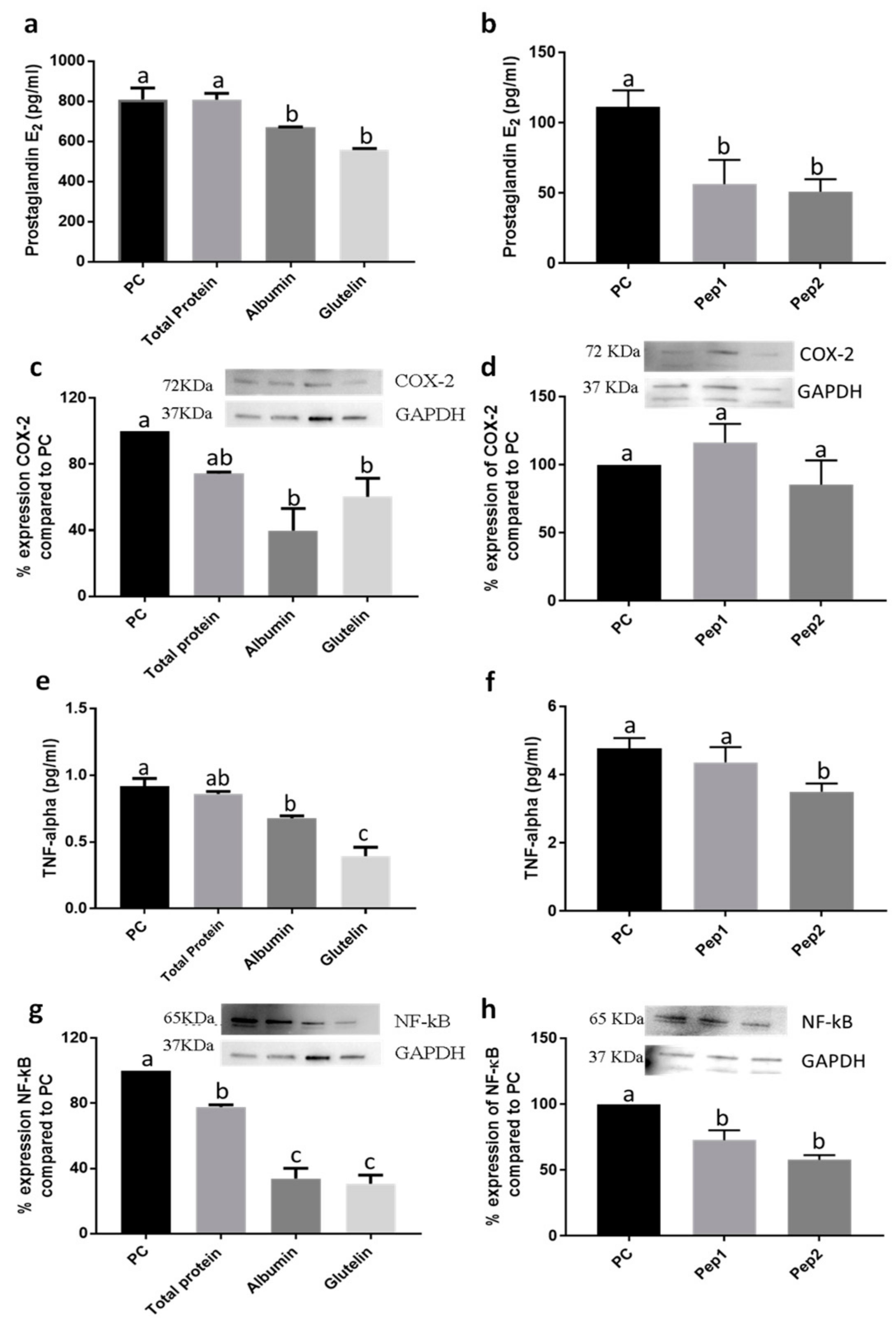 Nutrients 13 00176 g003