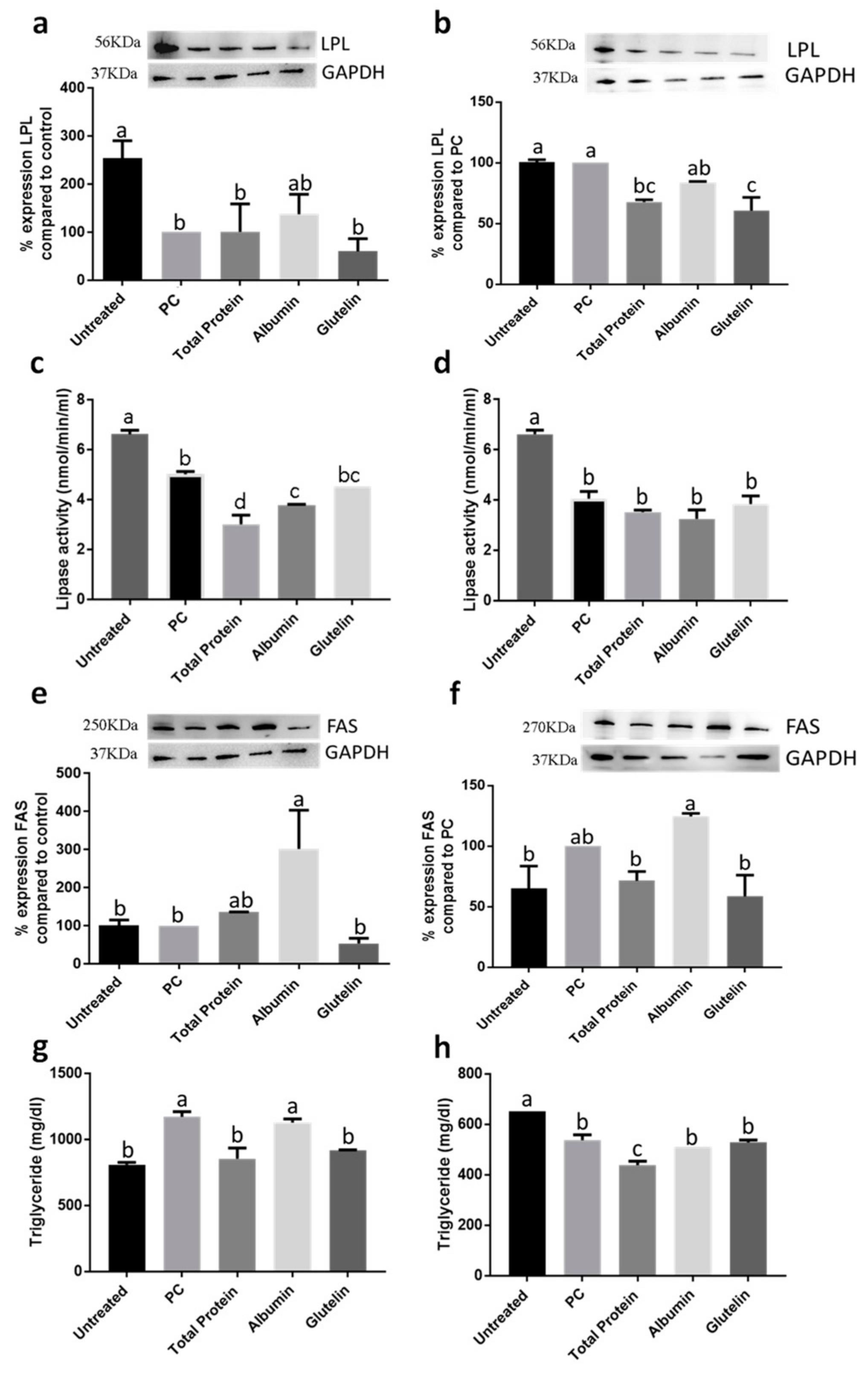 Nutrients 13 00176 g005
