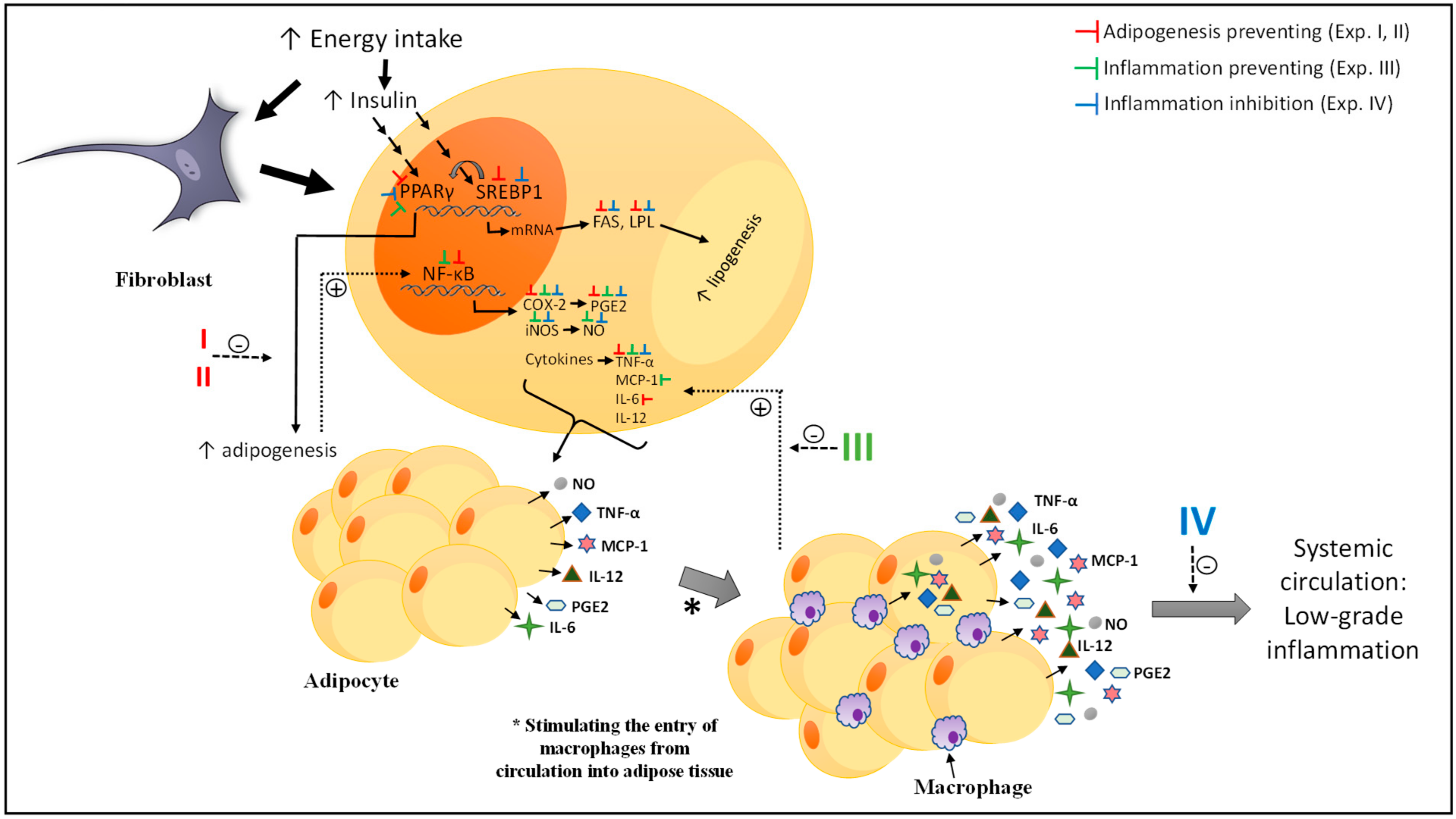 Nutrients 13 00176 g009