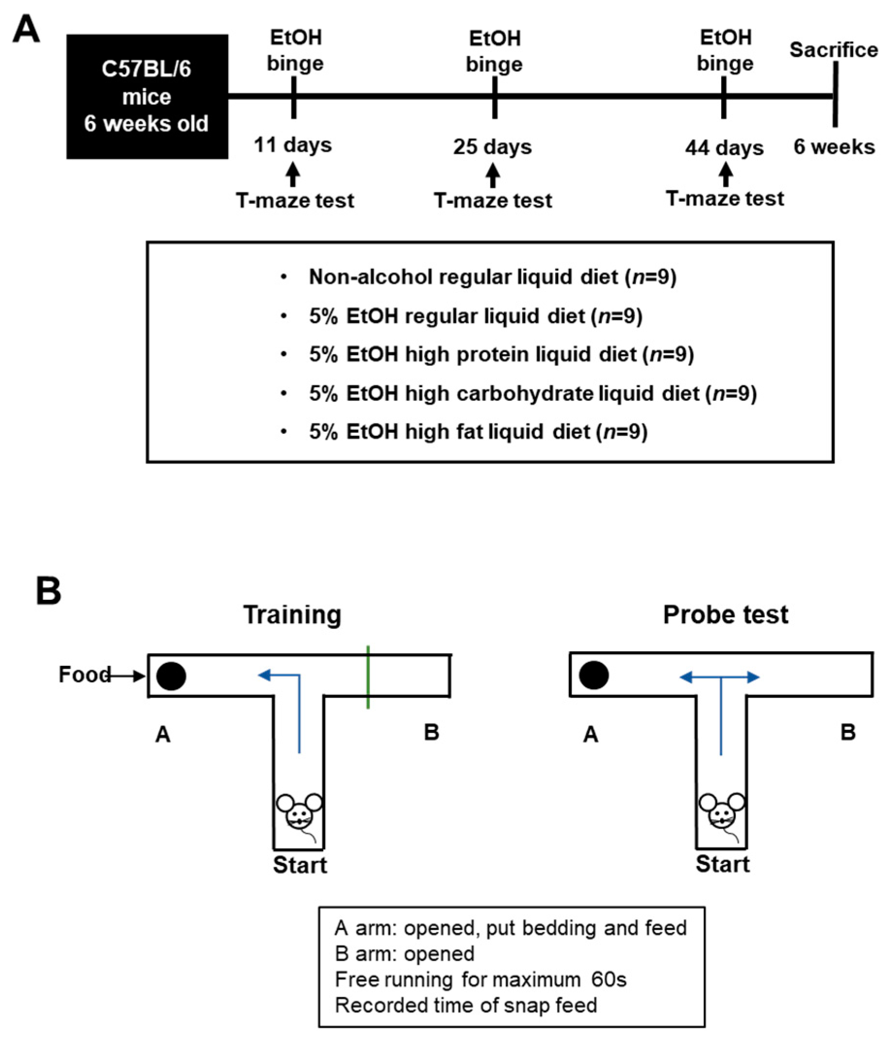 Nutrients 13 00185 g001