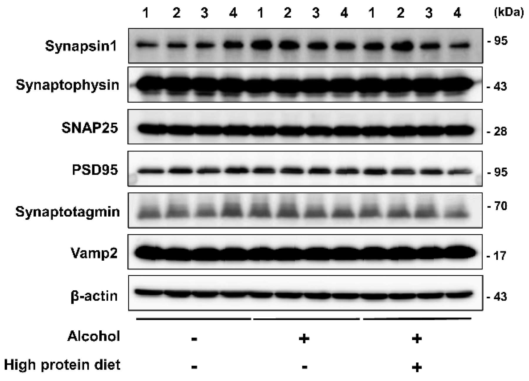 Nutrients 13 00185 g004