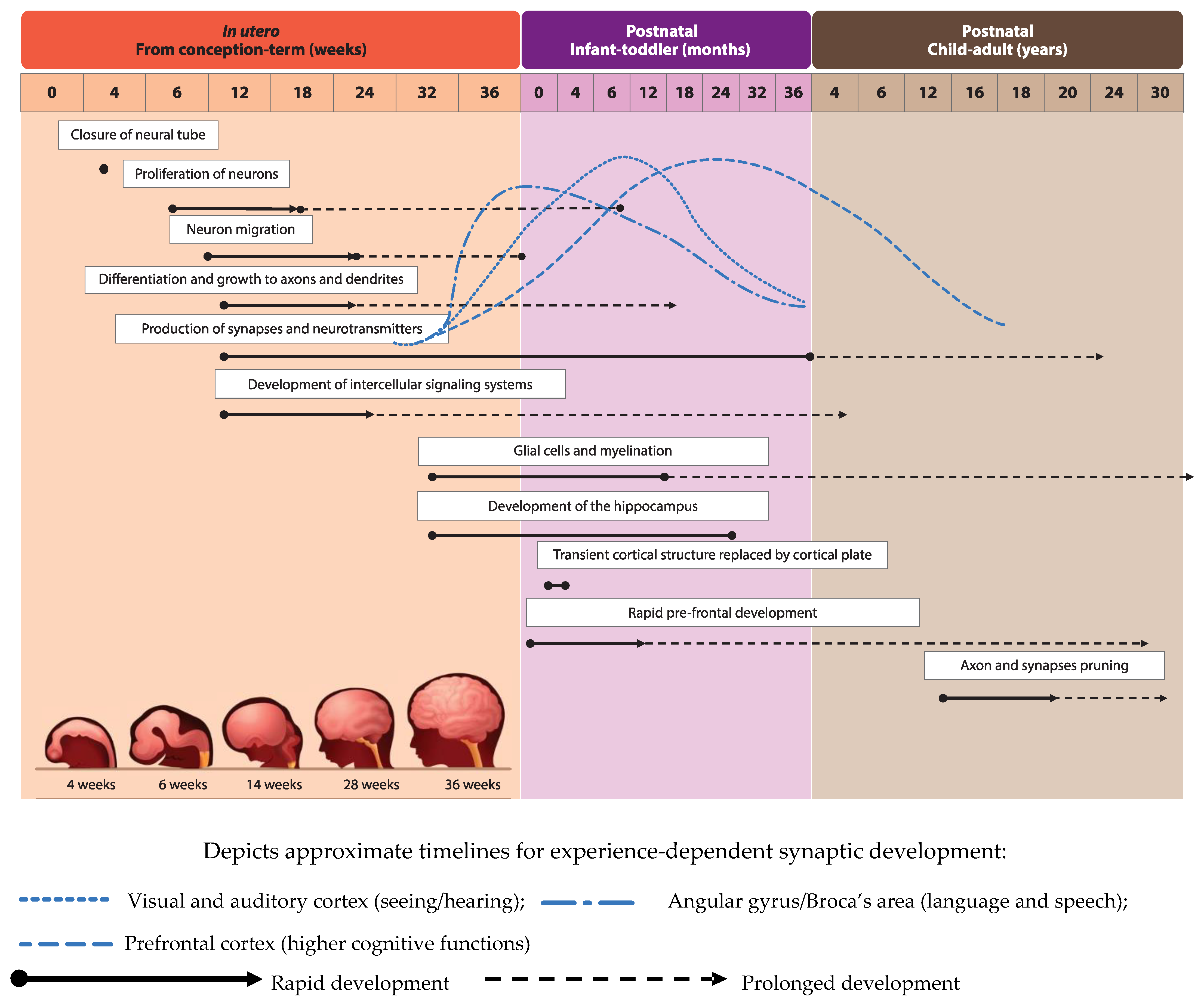 Nutrients 13 00199 g001