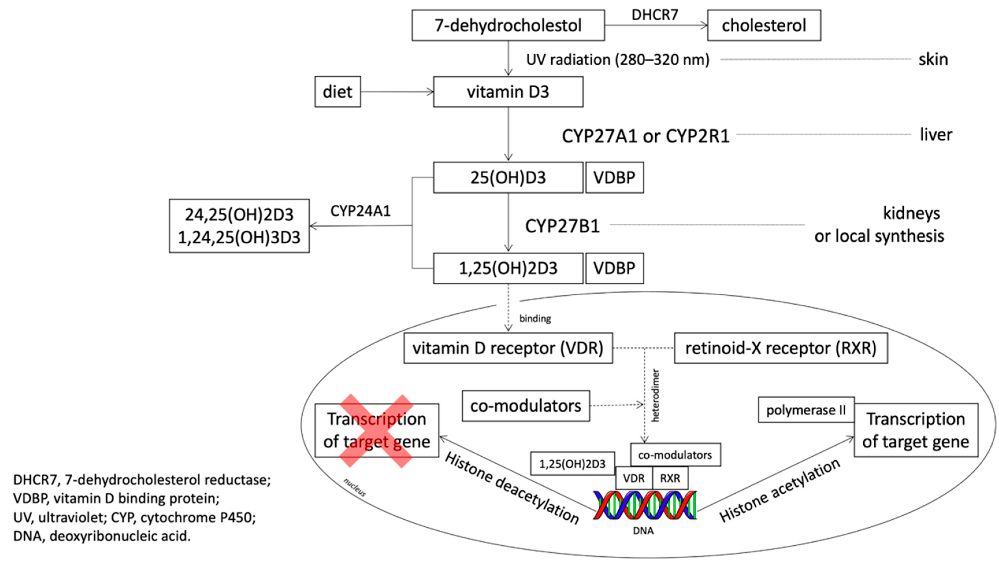 Nutrients 13 00200 g001