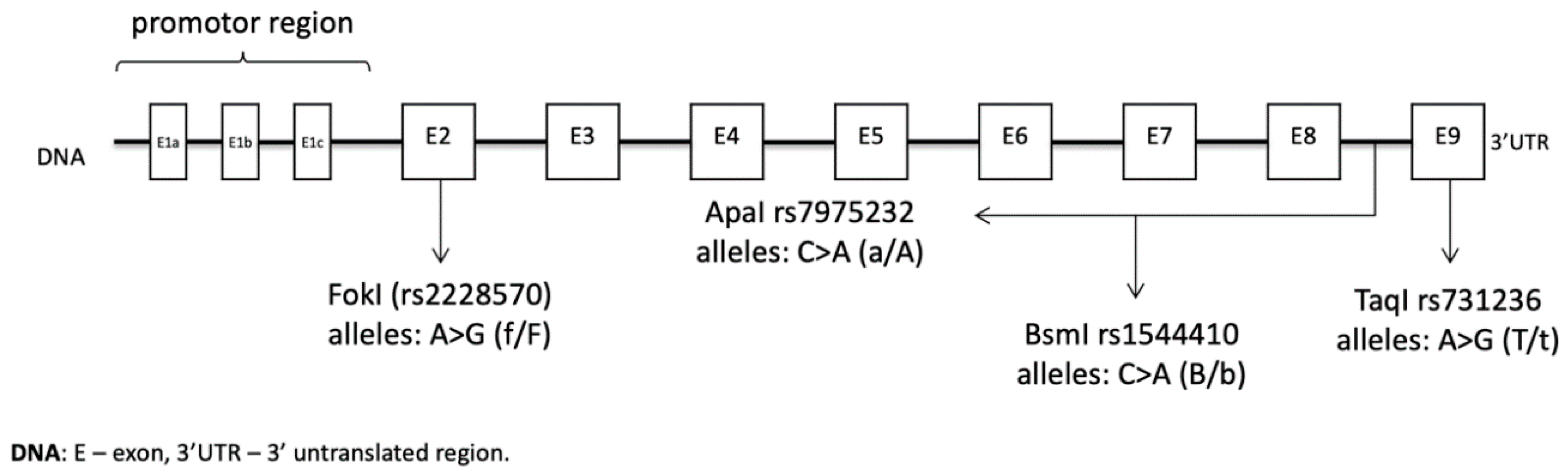 Nutrients 13 00200 g002