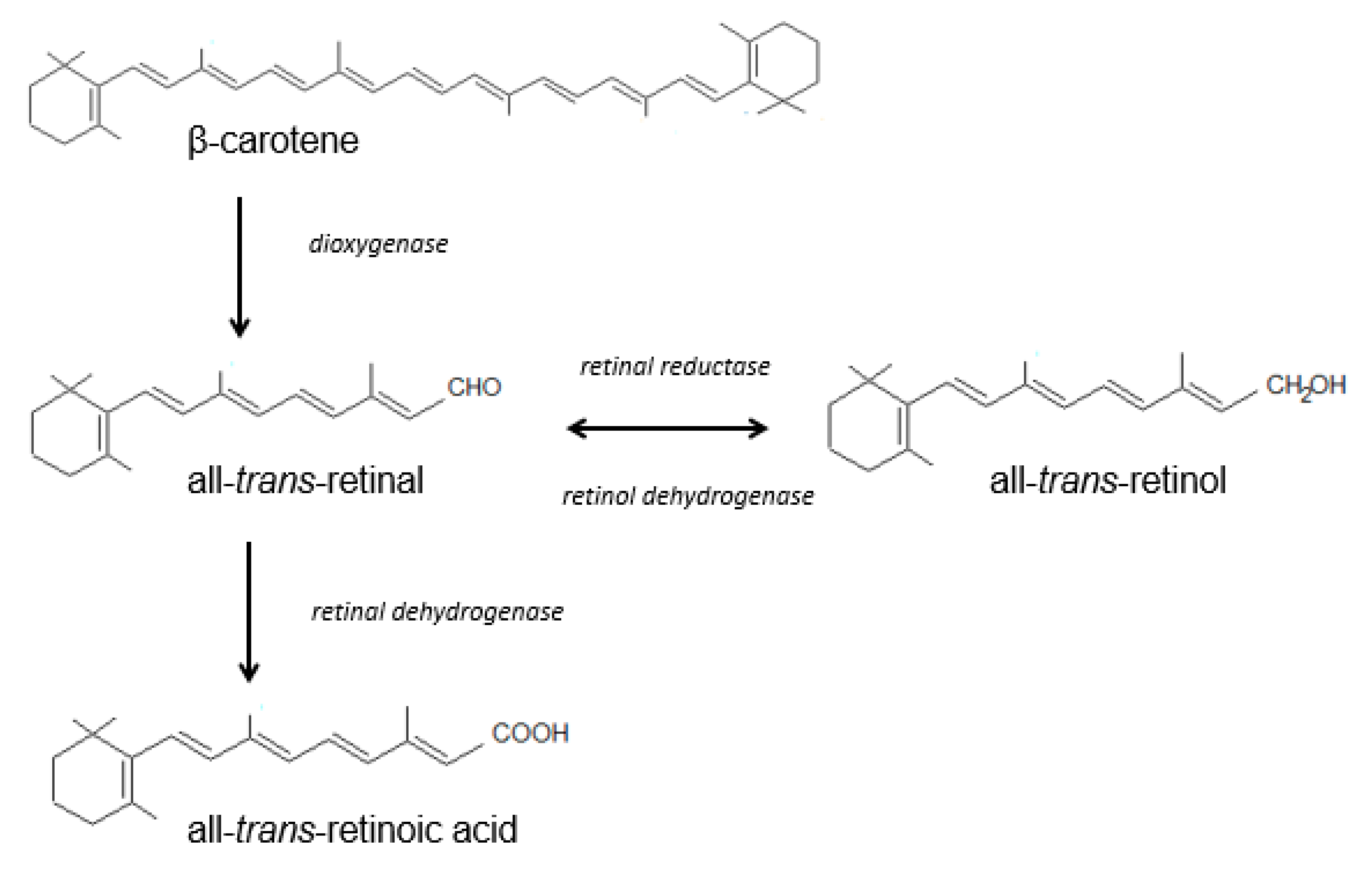 Nutrients 13 00203 sch001 Nutrients 13 00203 sch001