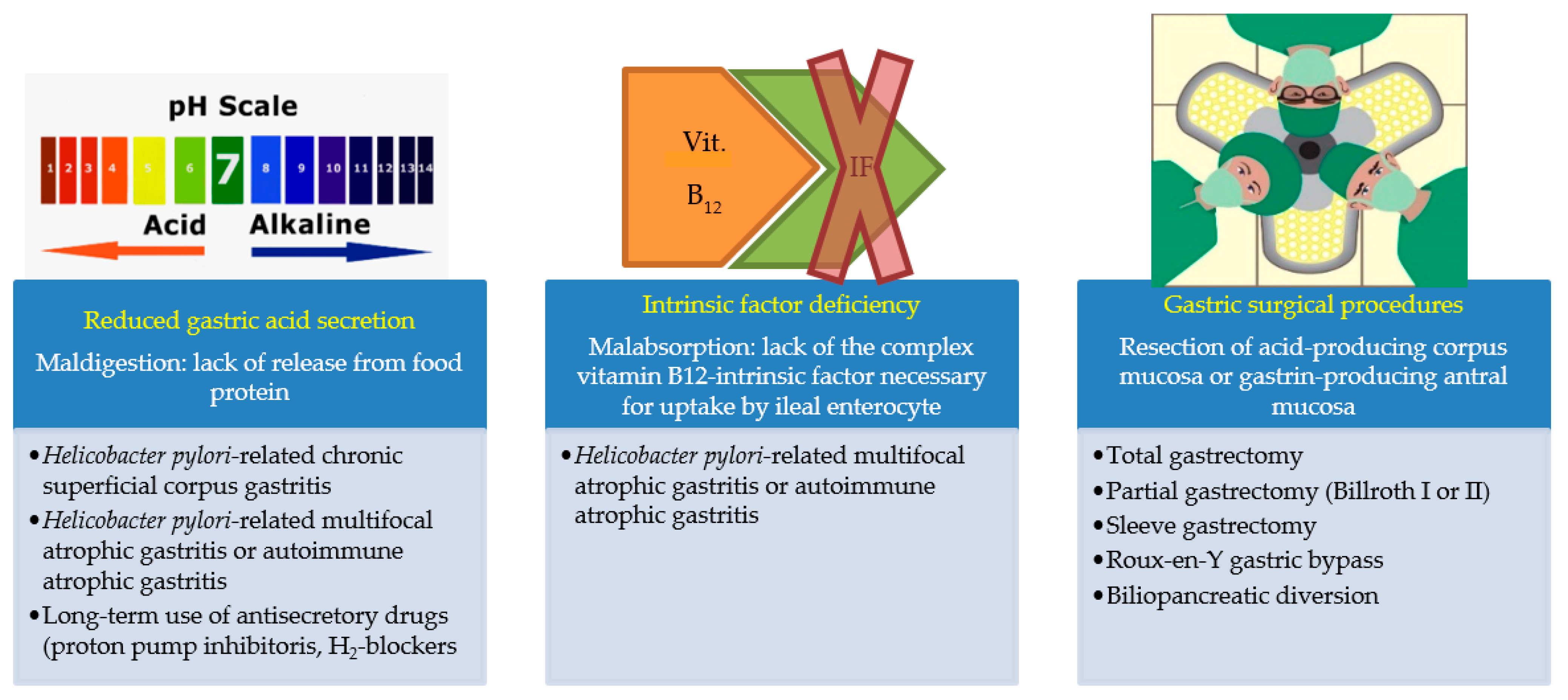 Nutrients 13 00208 g001
