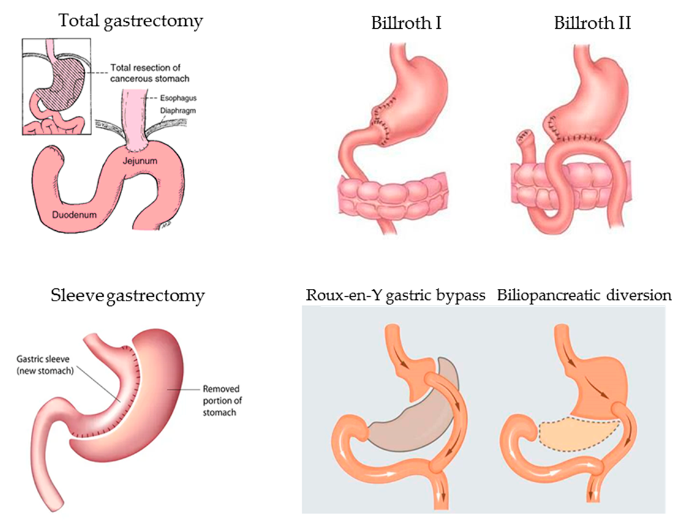 Nutrients 13 00208 g002