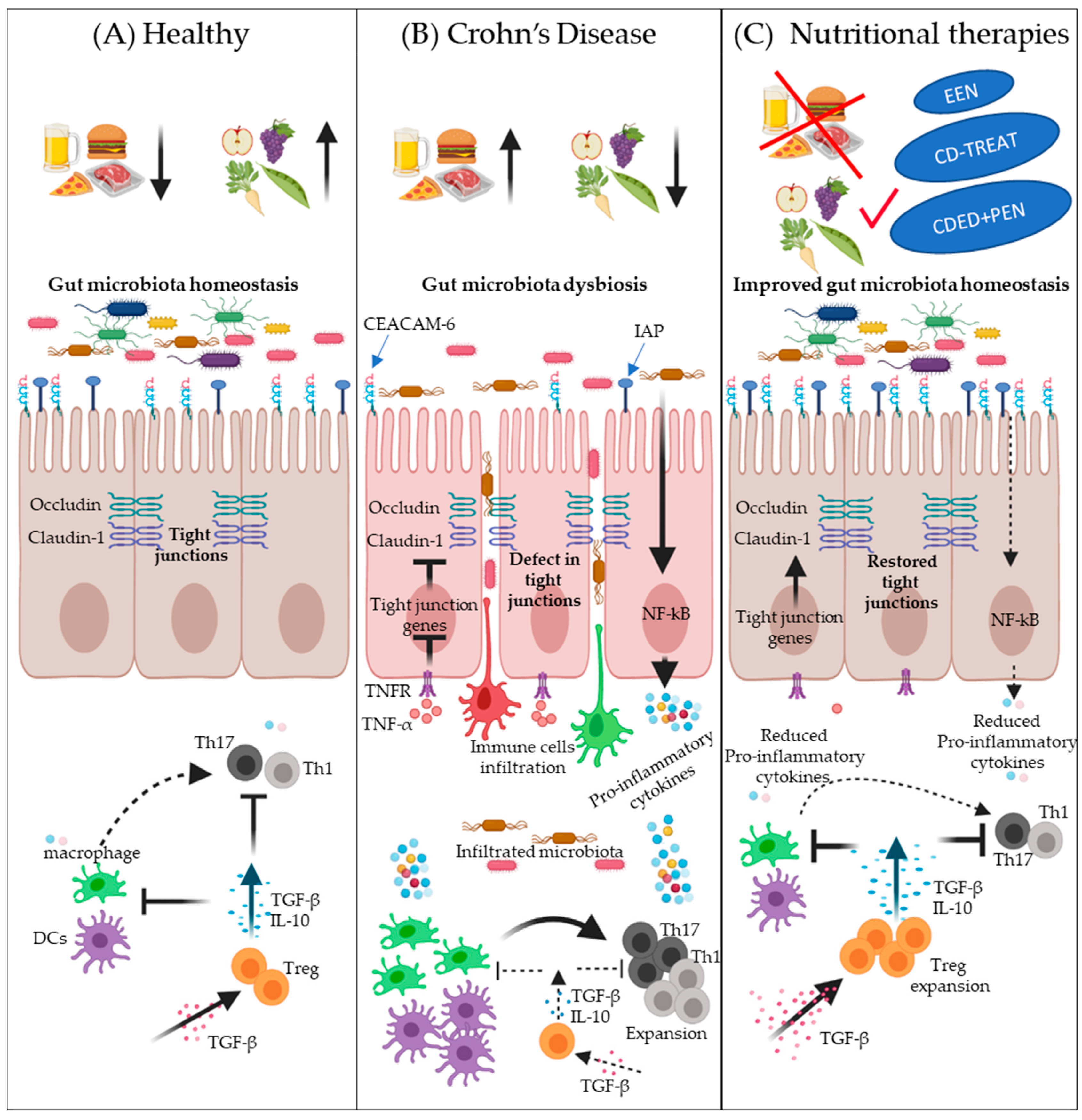 Nutrients 13 00212 g001