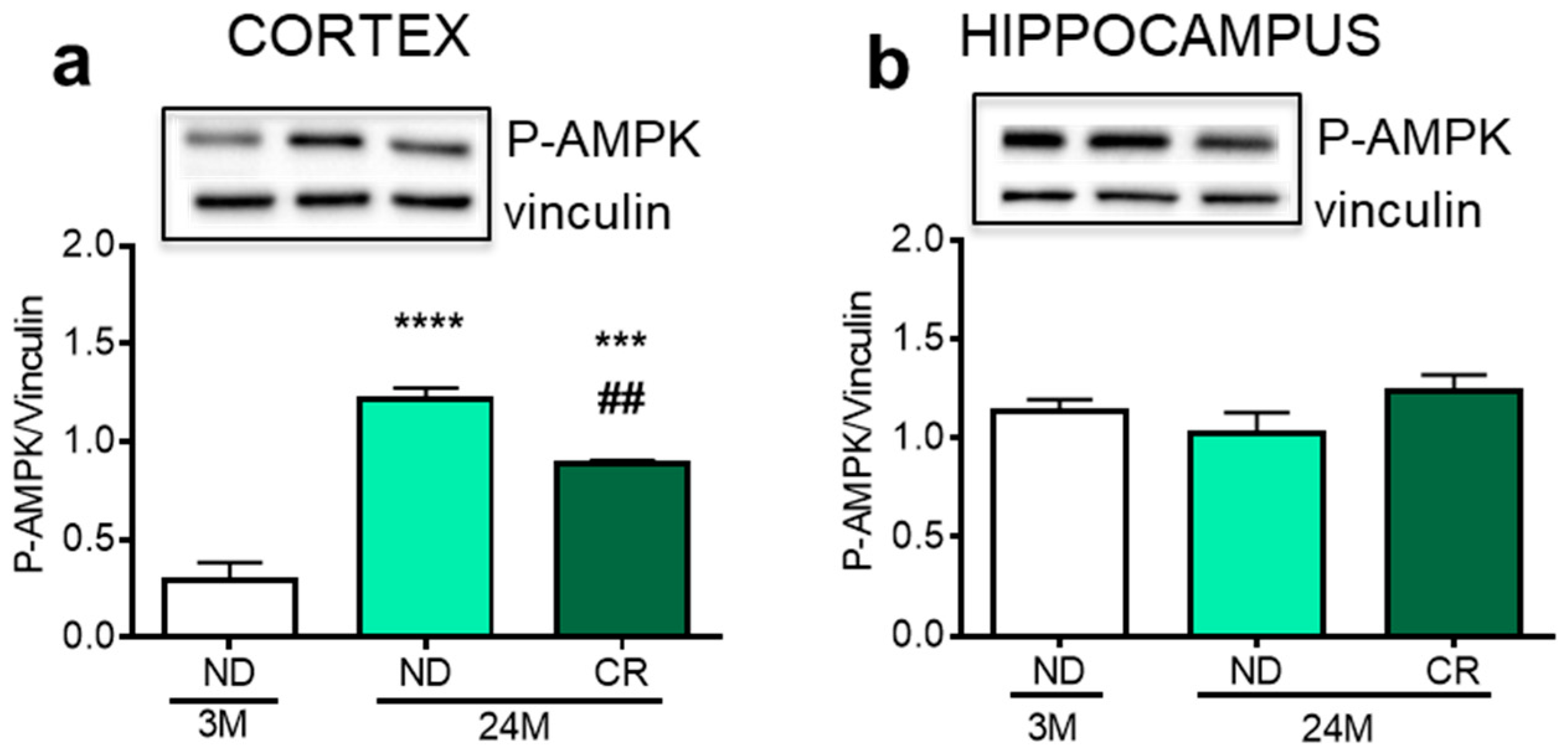 Nutrients 13 00232 g001 Nutrients 13 00232 g001