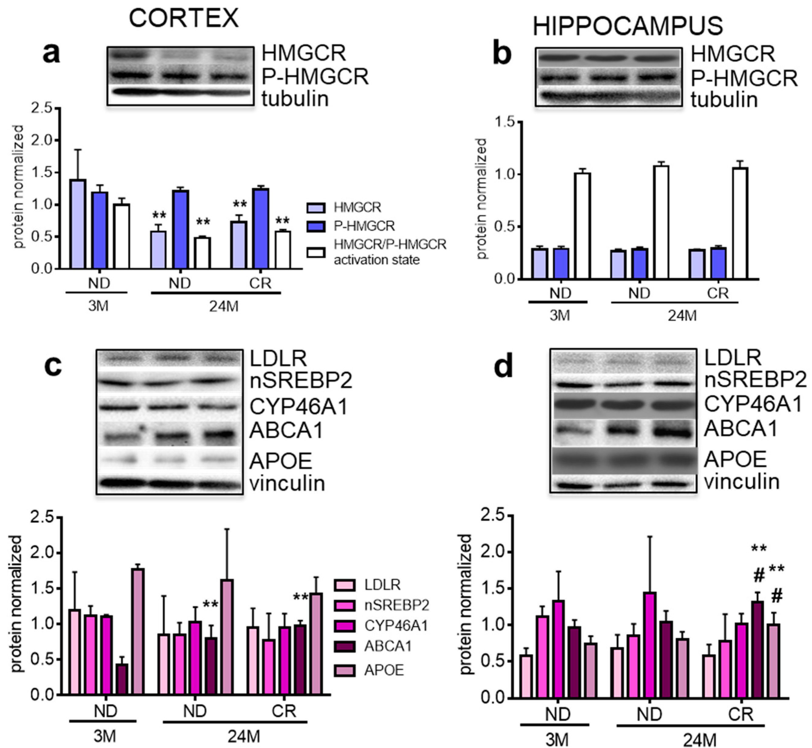 Nutrients 13 00232 g002 Nutrients 13 00232 g002