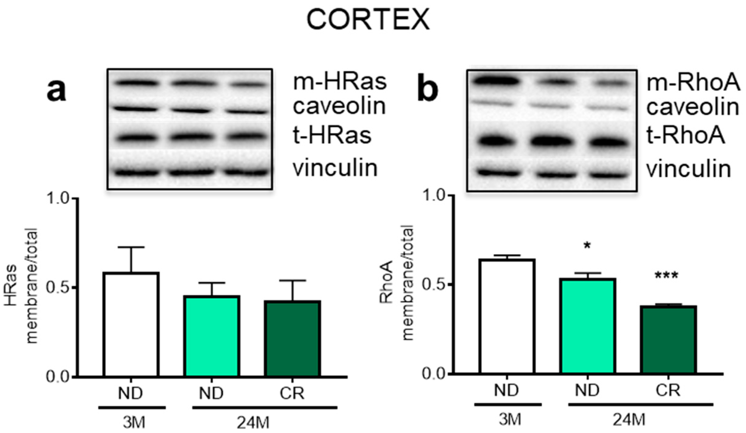 Nutrients 13 00232 g003 Nutrients 13 00232 g003