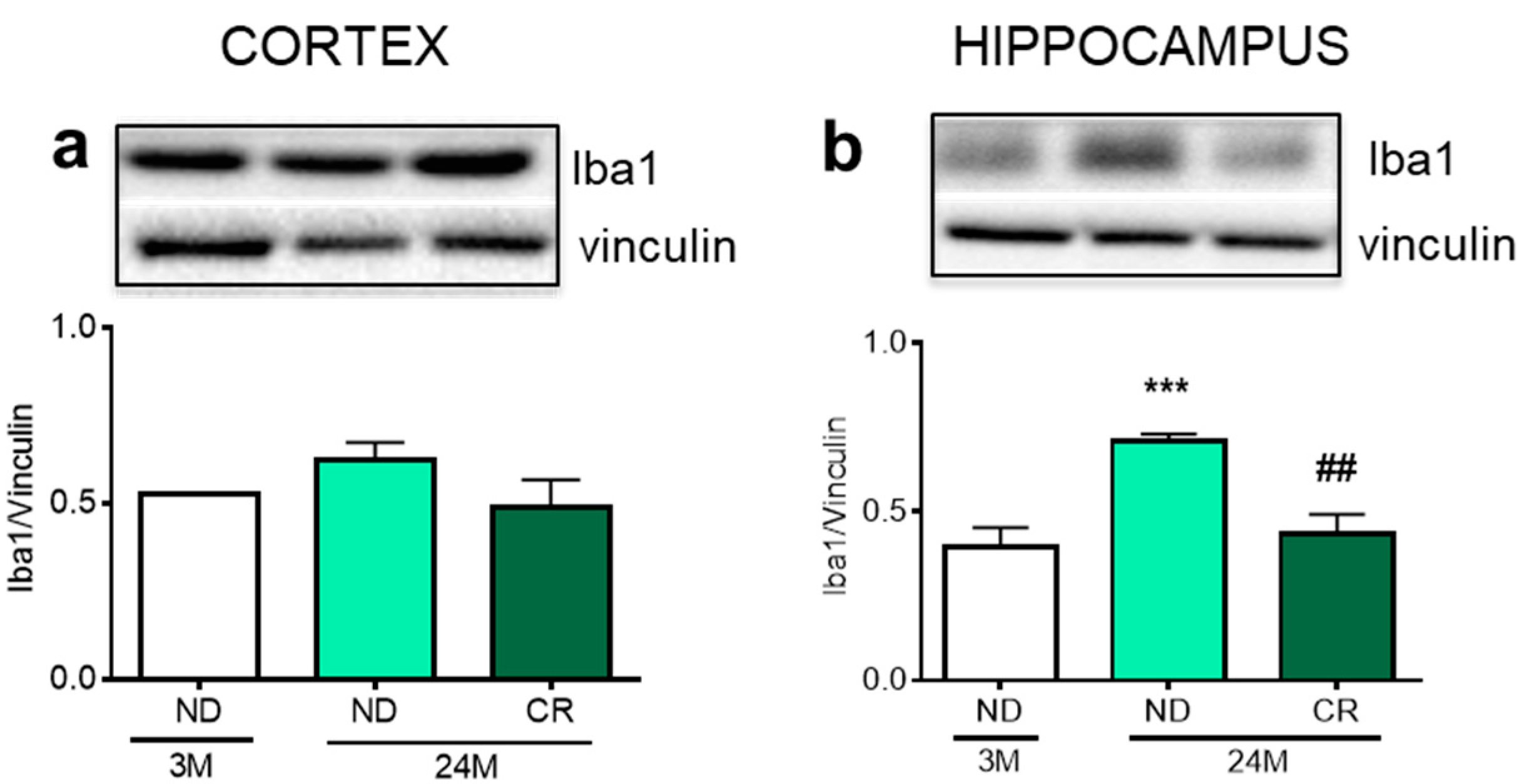 Nutrients 13 00232 g004 Nutrients 13 00232 g004