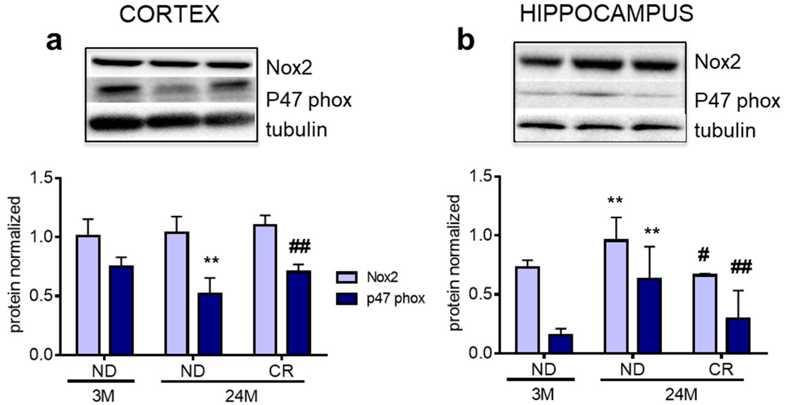 Nutrients 13 00232 g005 Nutrients 13 00232 g005