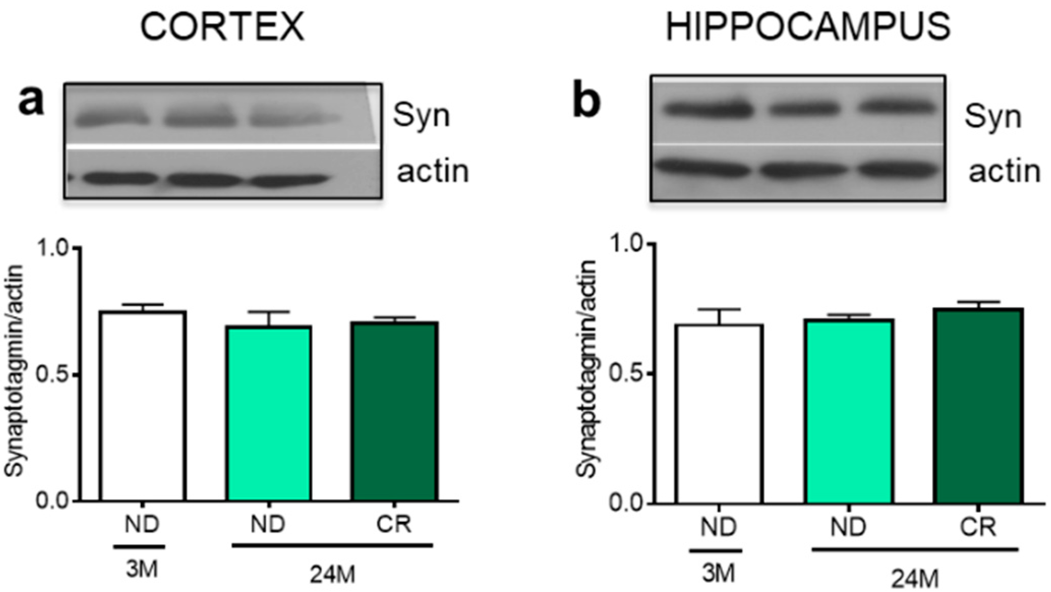 Nutrients 13 00232 g006 Nutrients 13 00232 g006