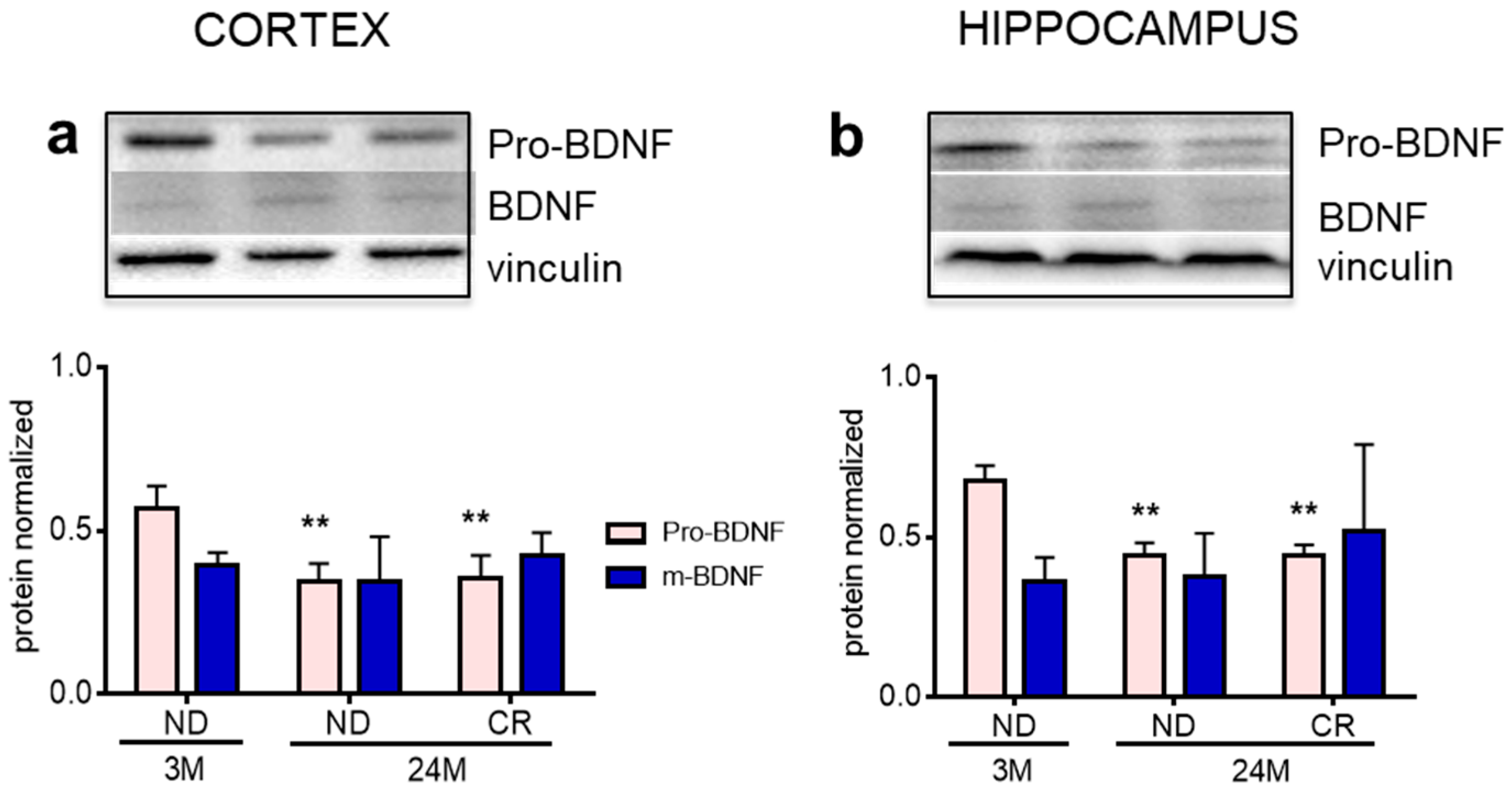 Nutrients 13 00232 g007 Nutrients 13 00232 g007
