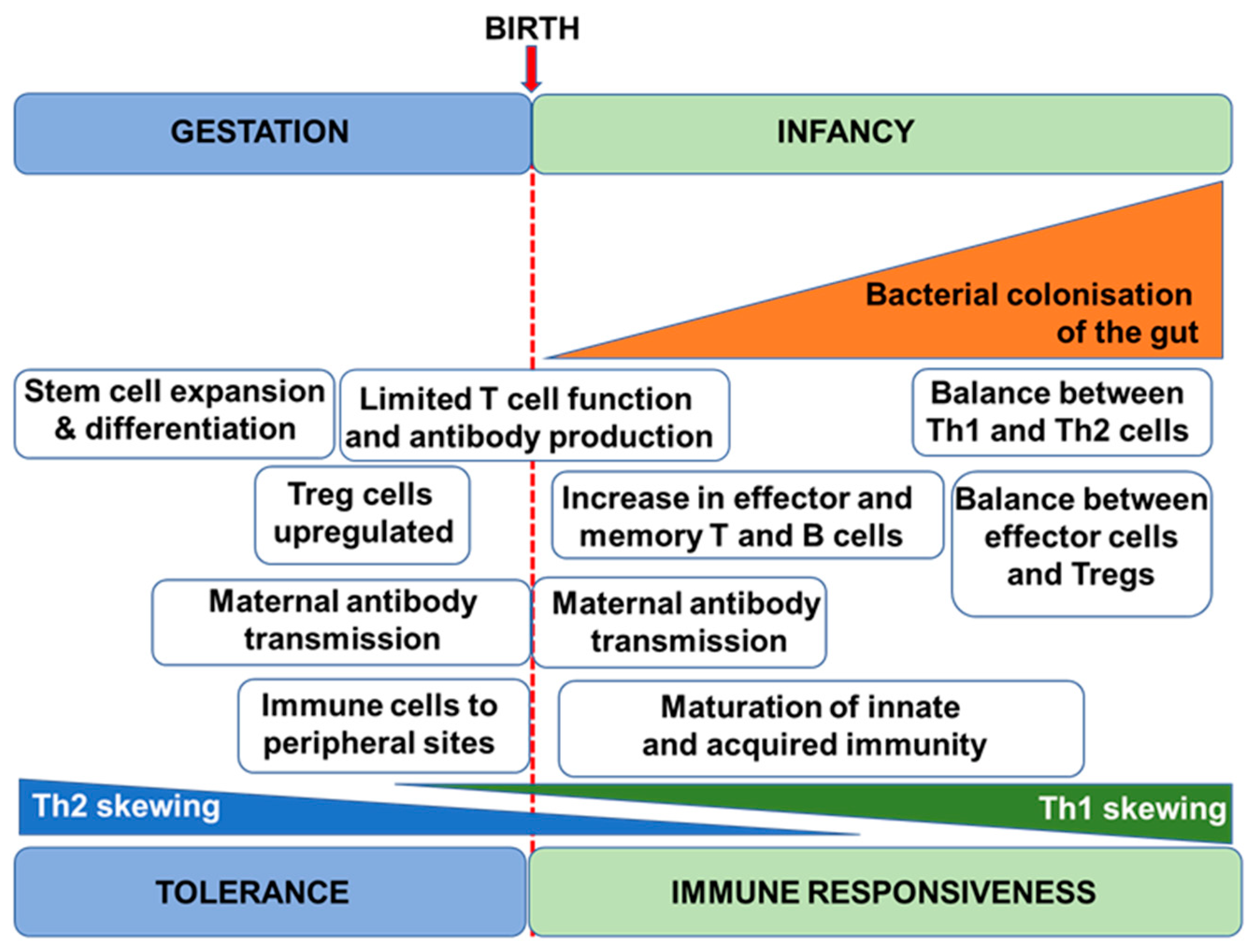 Nutrients 13 00247 g001