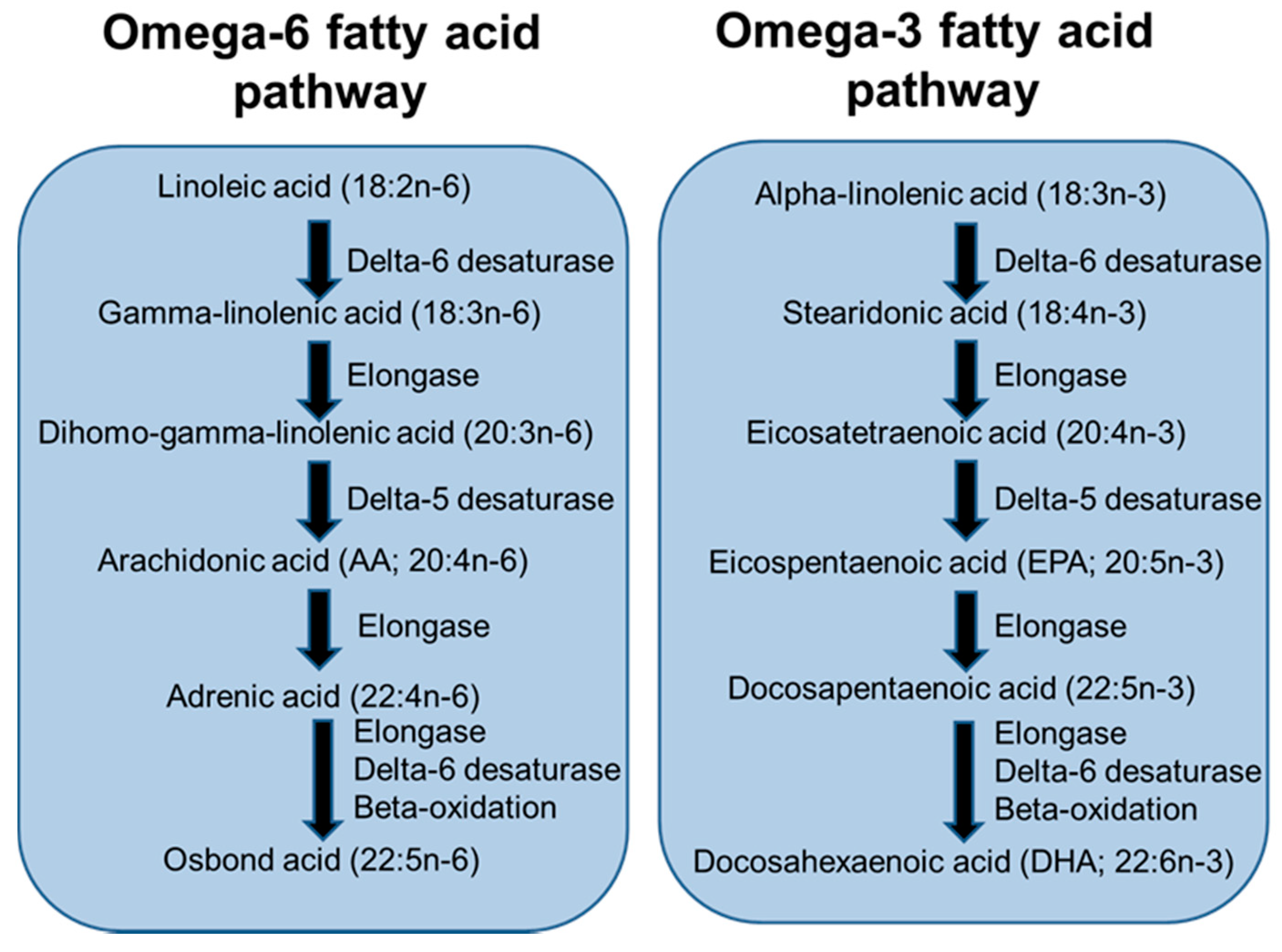 Nutrients 13 00247 g003