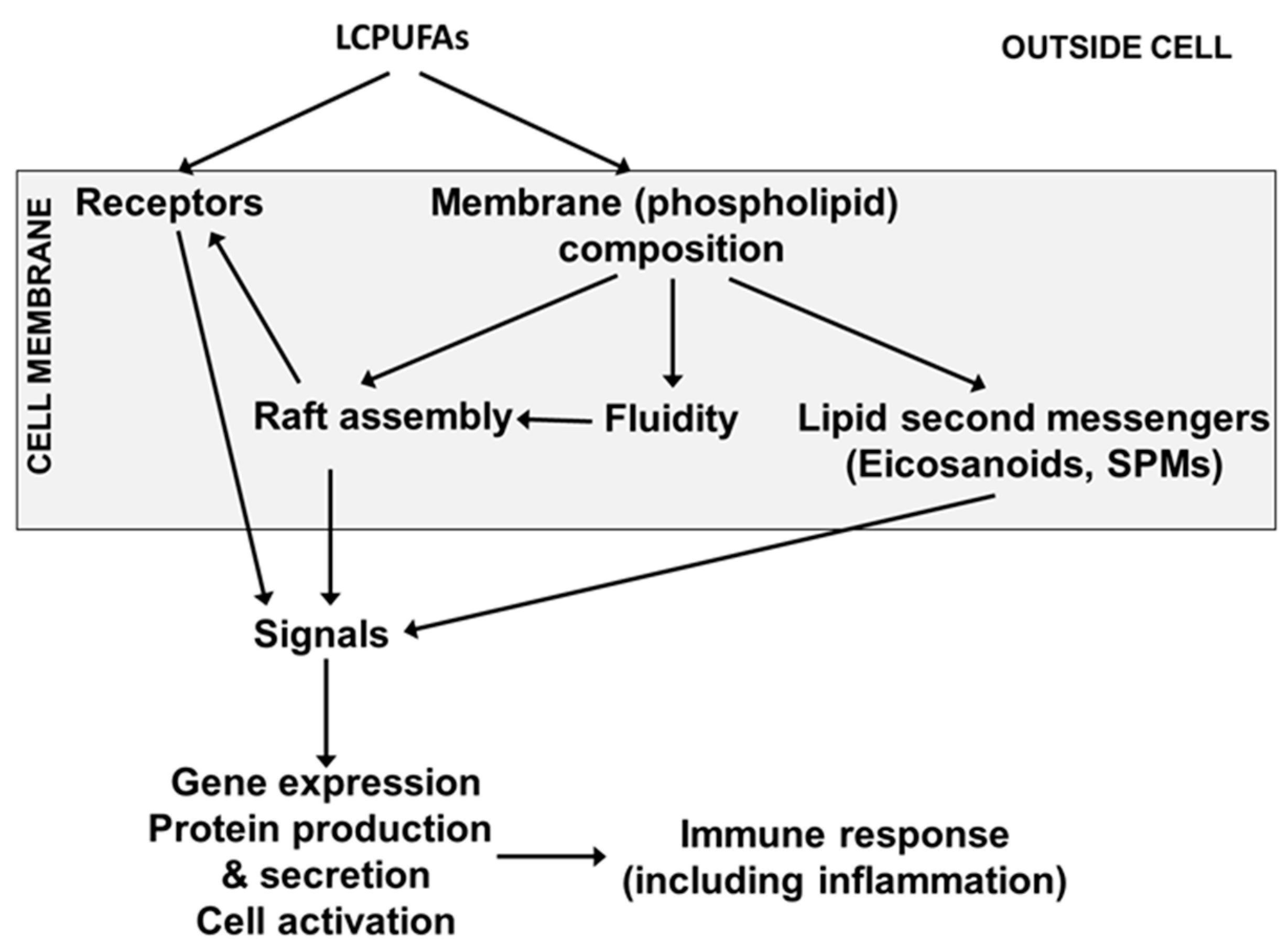 Nutrients 13 00247 g004