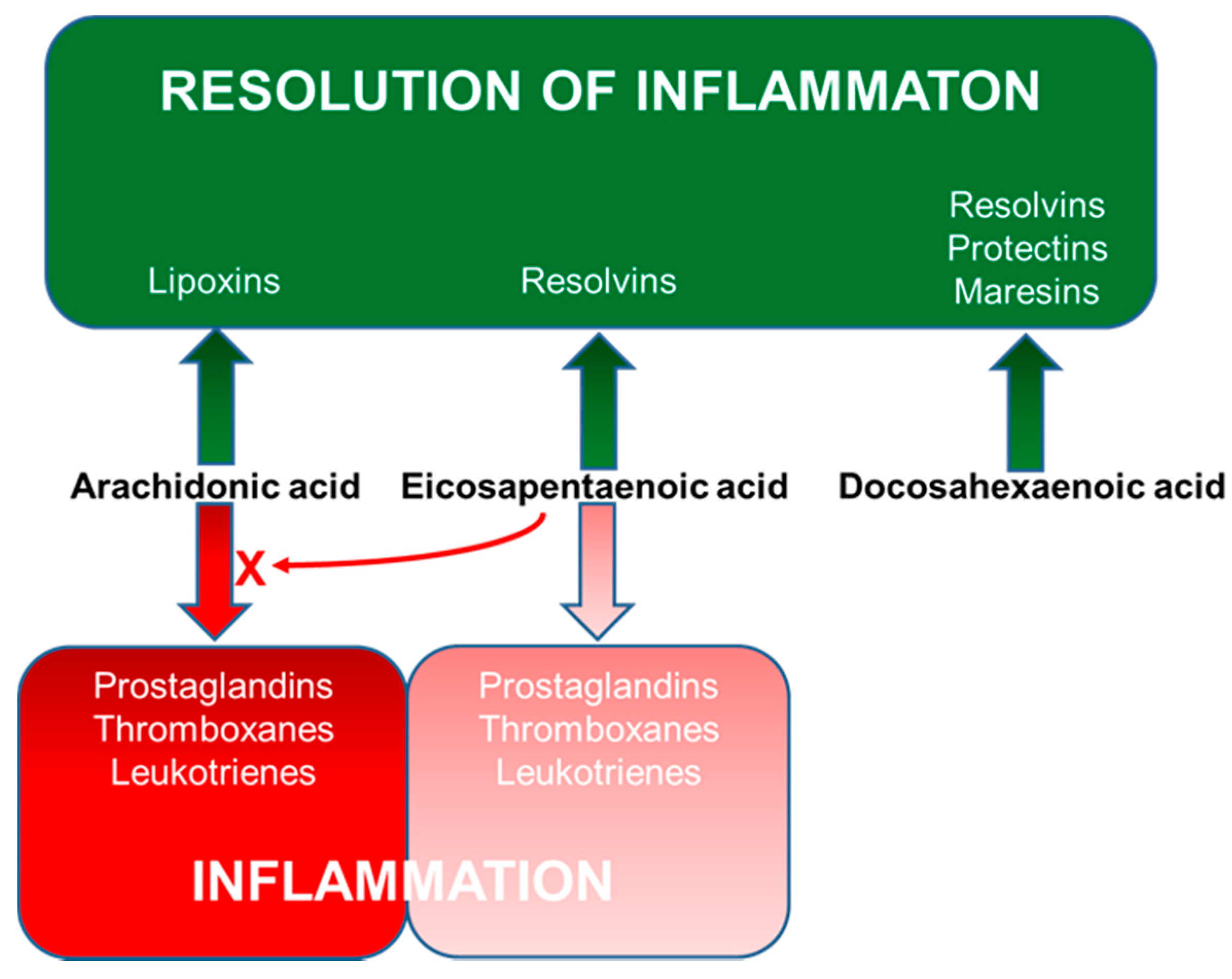 Nutrients 13 00247 g005