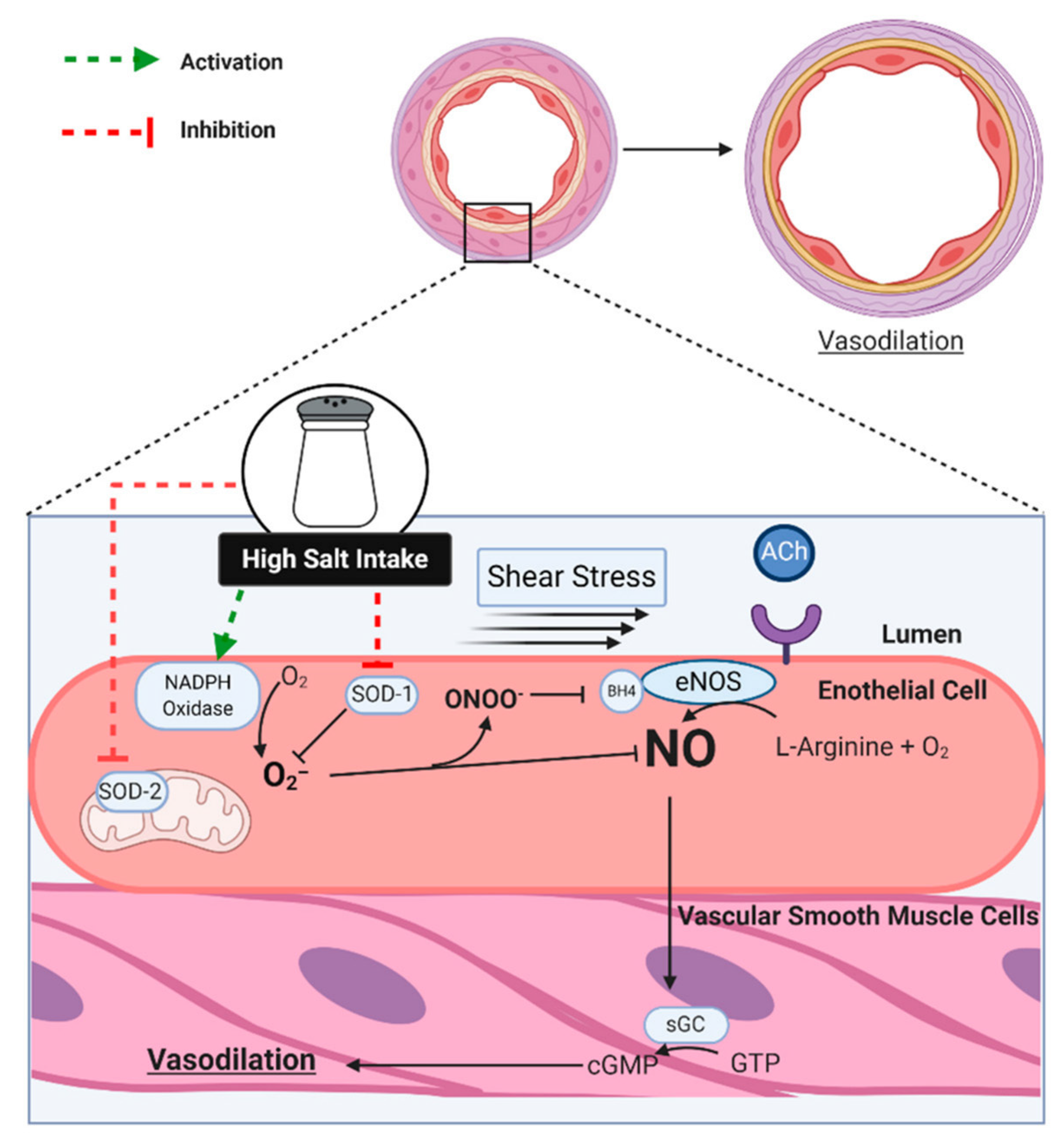 Nutrients 13 00270 g002 Nutrients 13 00270 g002