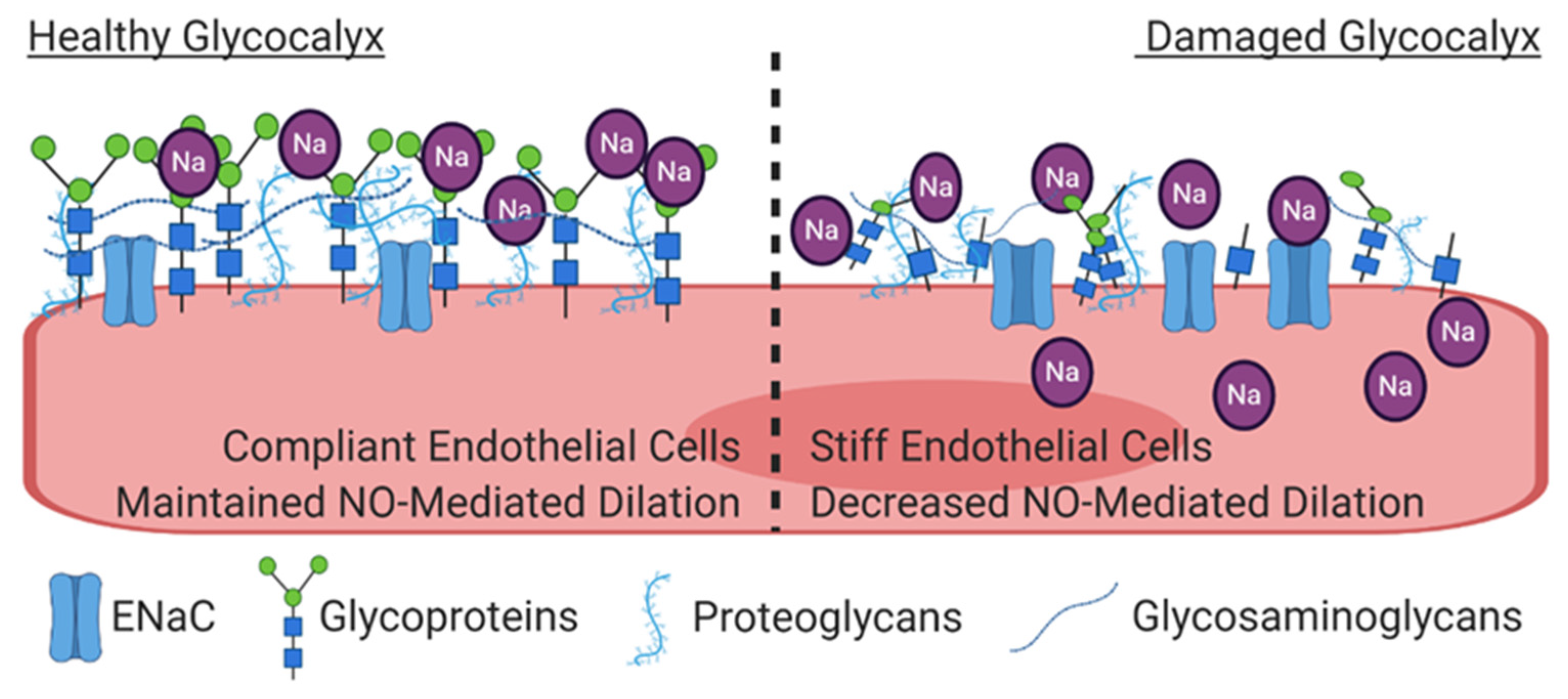 Nutrients 13 00270 g003 Nutrients 13 00270 g003