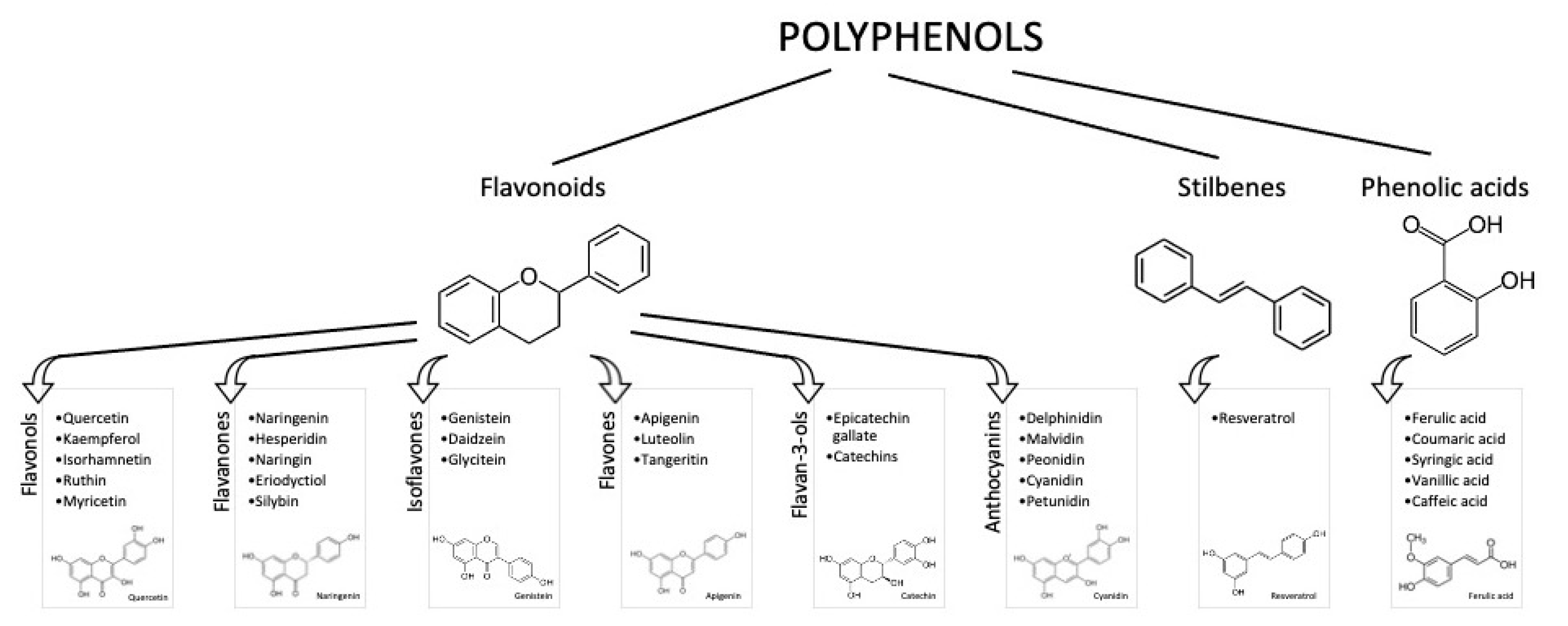 Nutrients 13 00273 g001