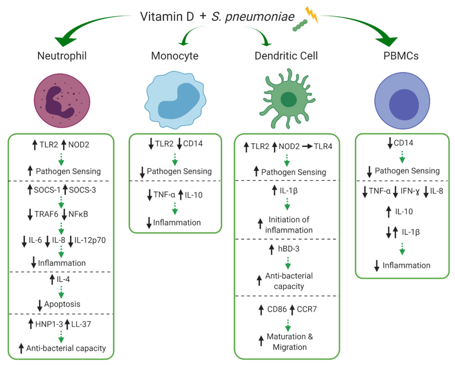 Nutrients 13 00276 g003