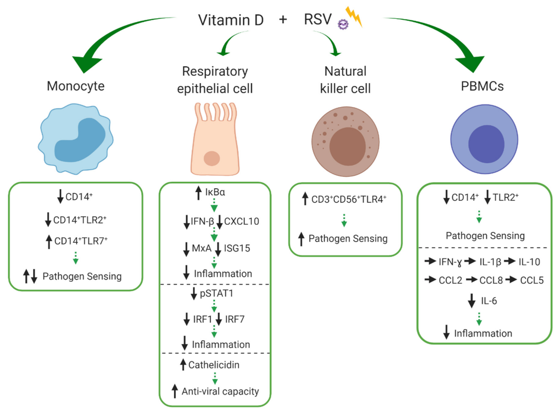 Nutrients 13 00276 g004