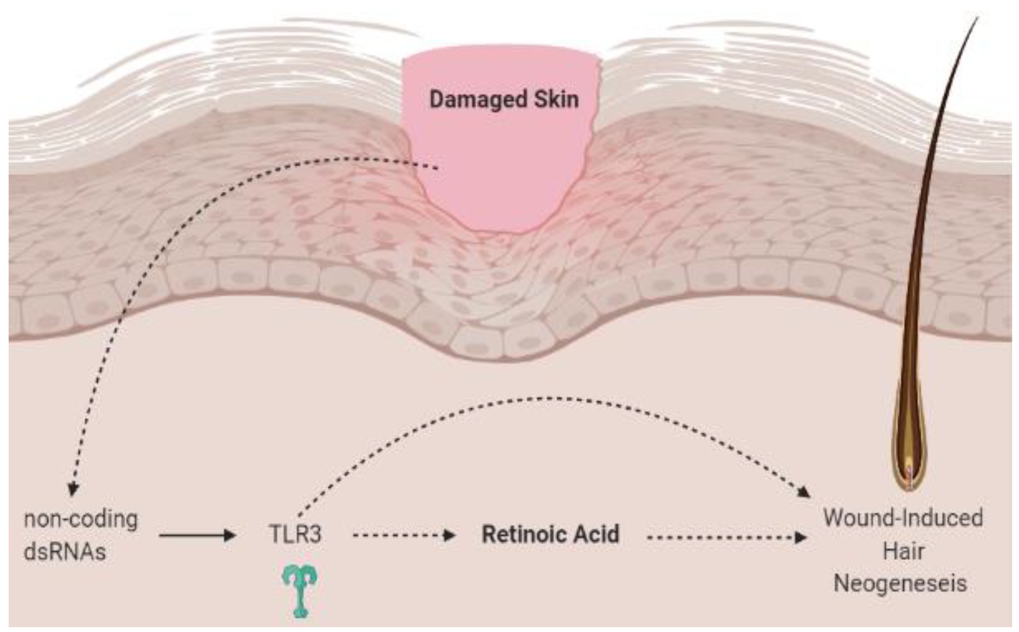 Nutrients 13 00302 g002