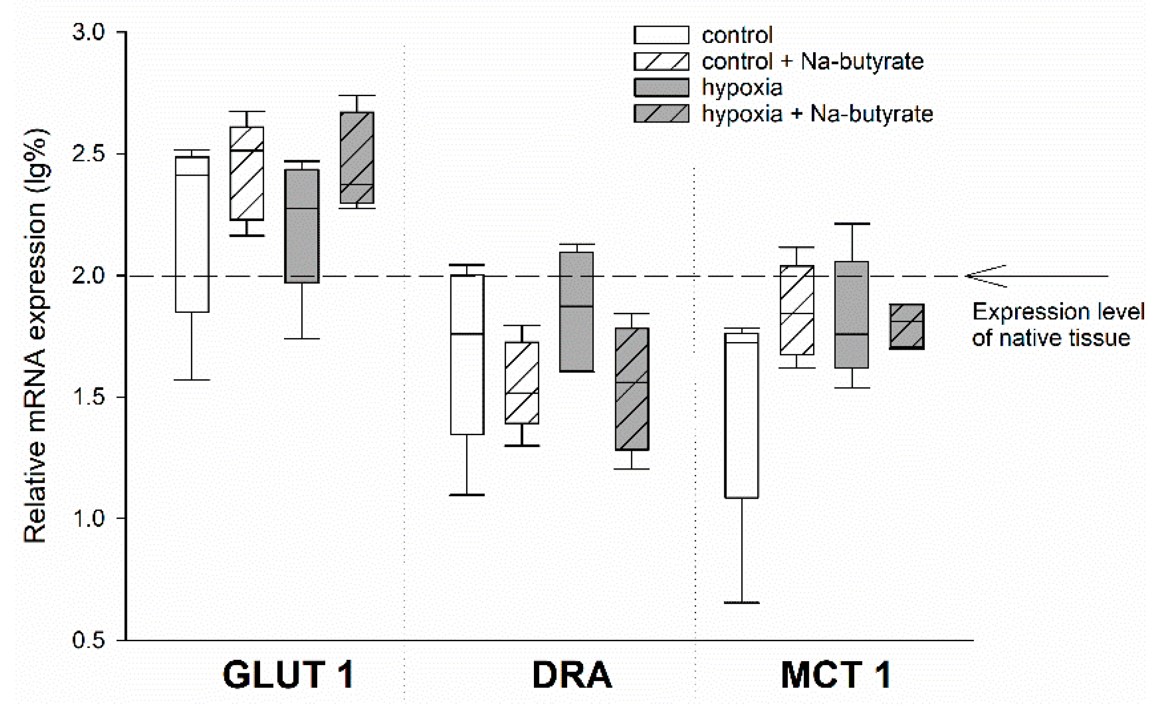 Nutrients 13 00305 g003
