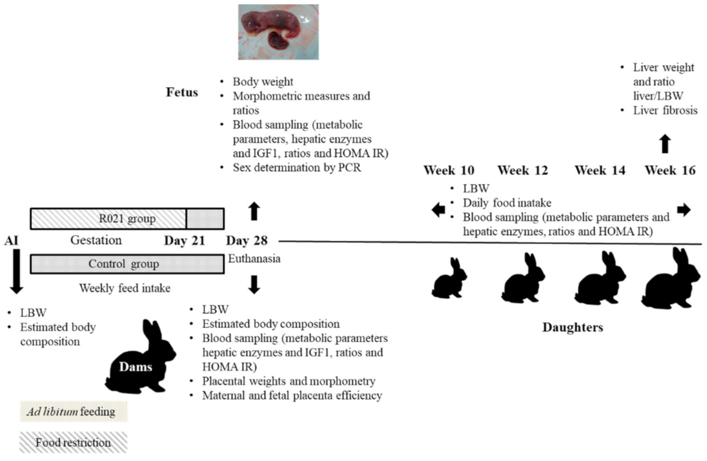 Nutrients 13 00310 g001