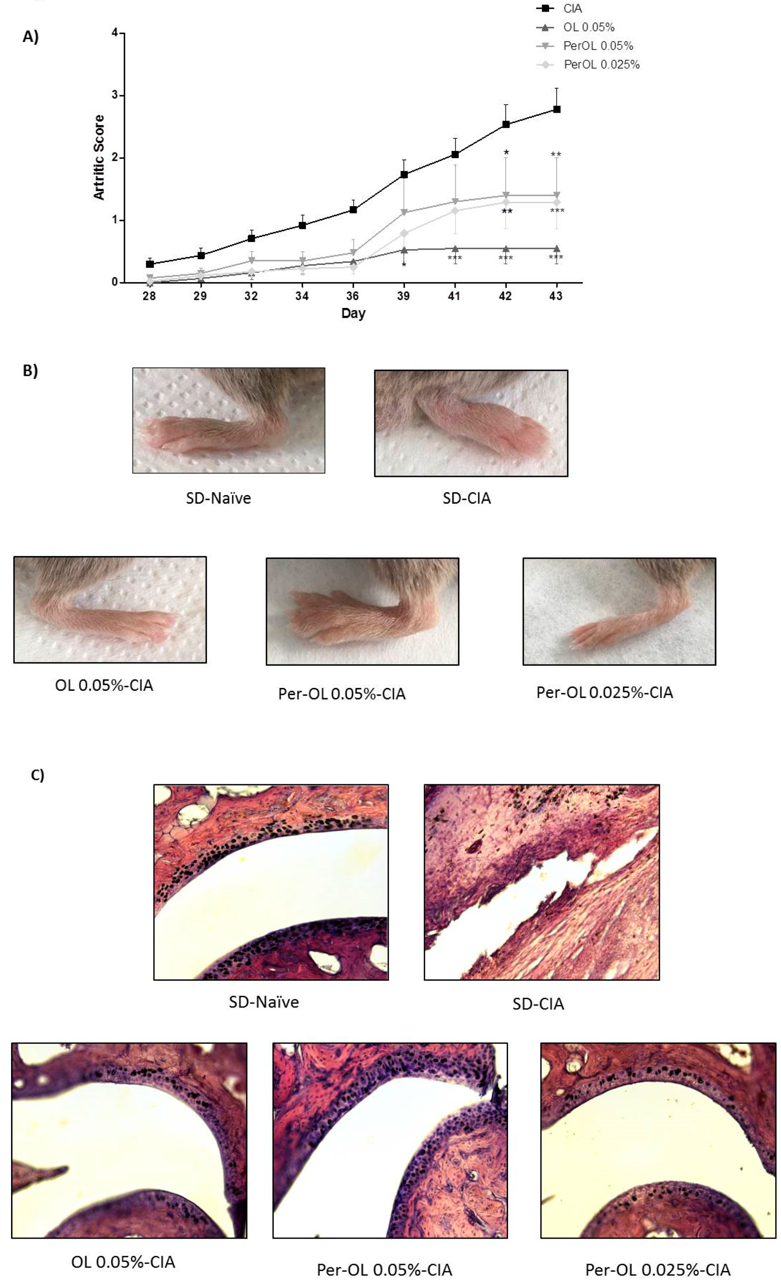 Nutrients 13 00311 g001