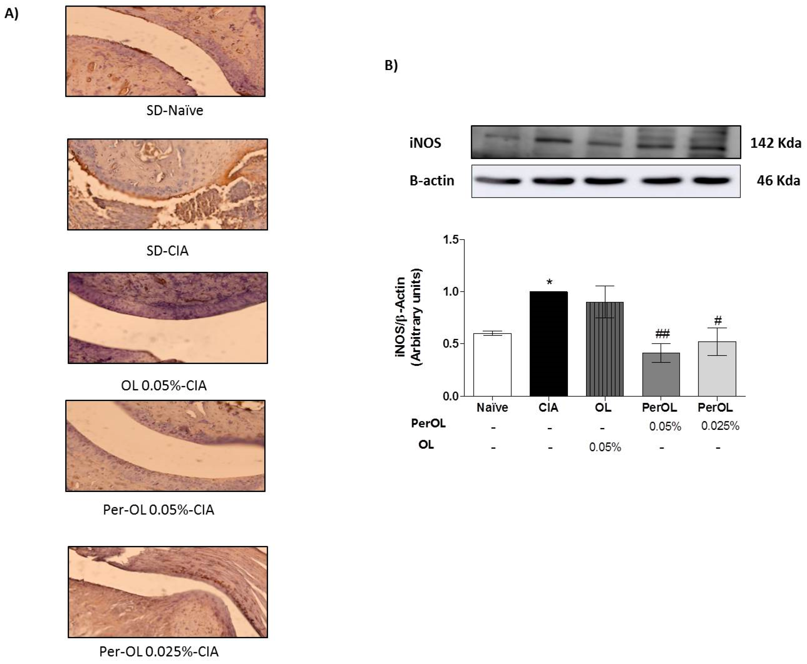 Nutrients 13 00311 g004