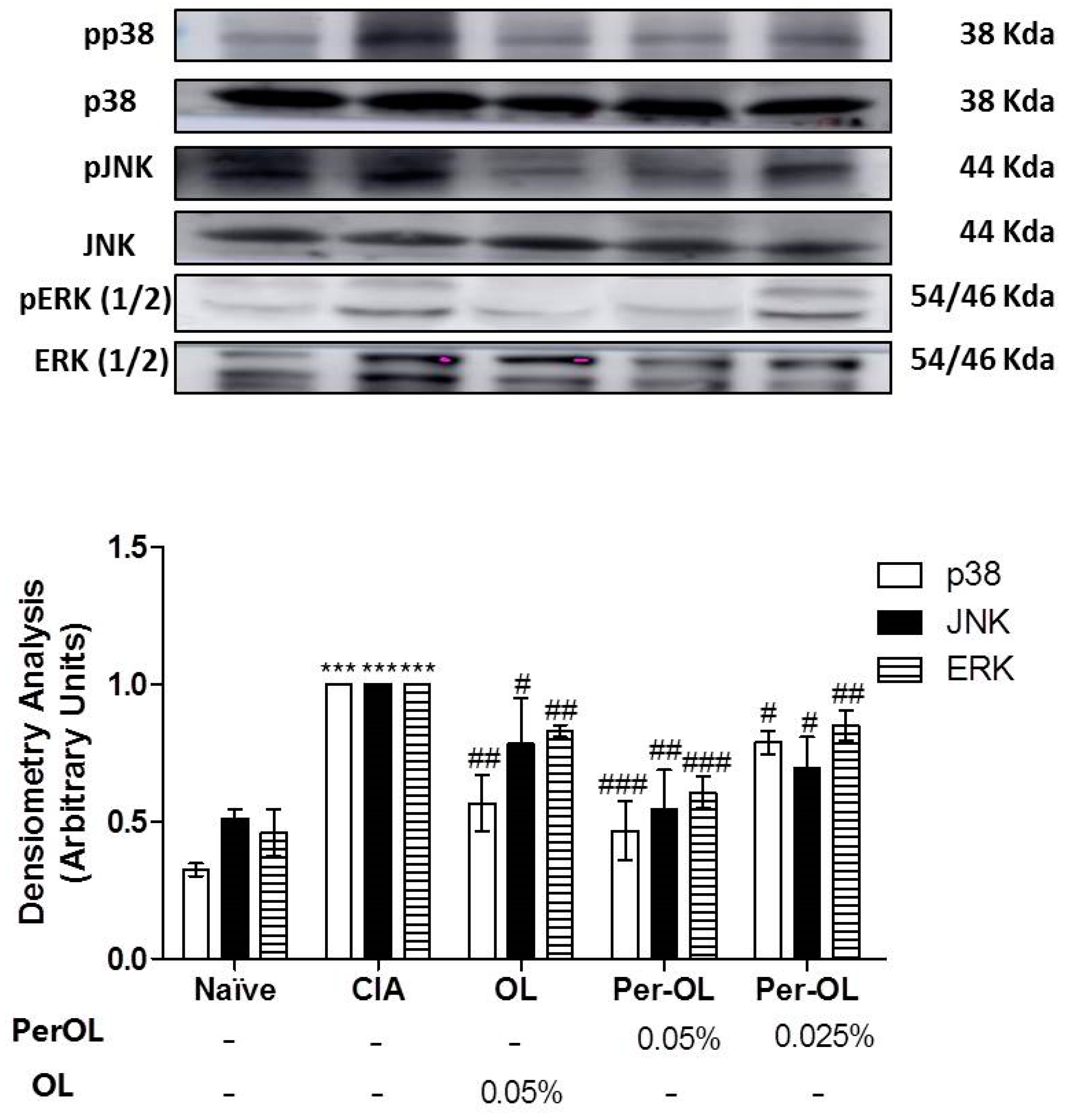 Nutrients 13 00311 g006