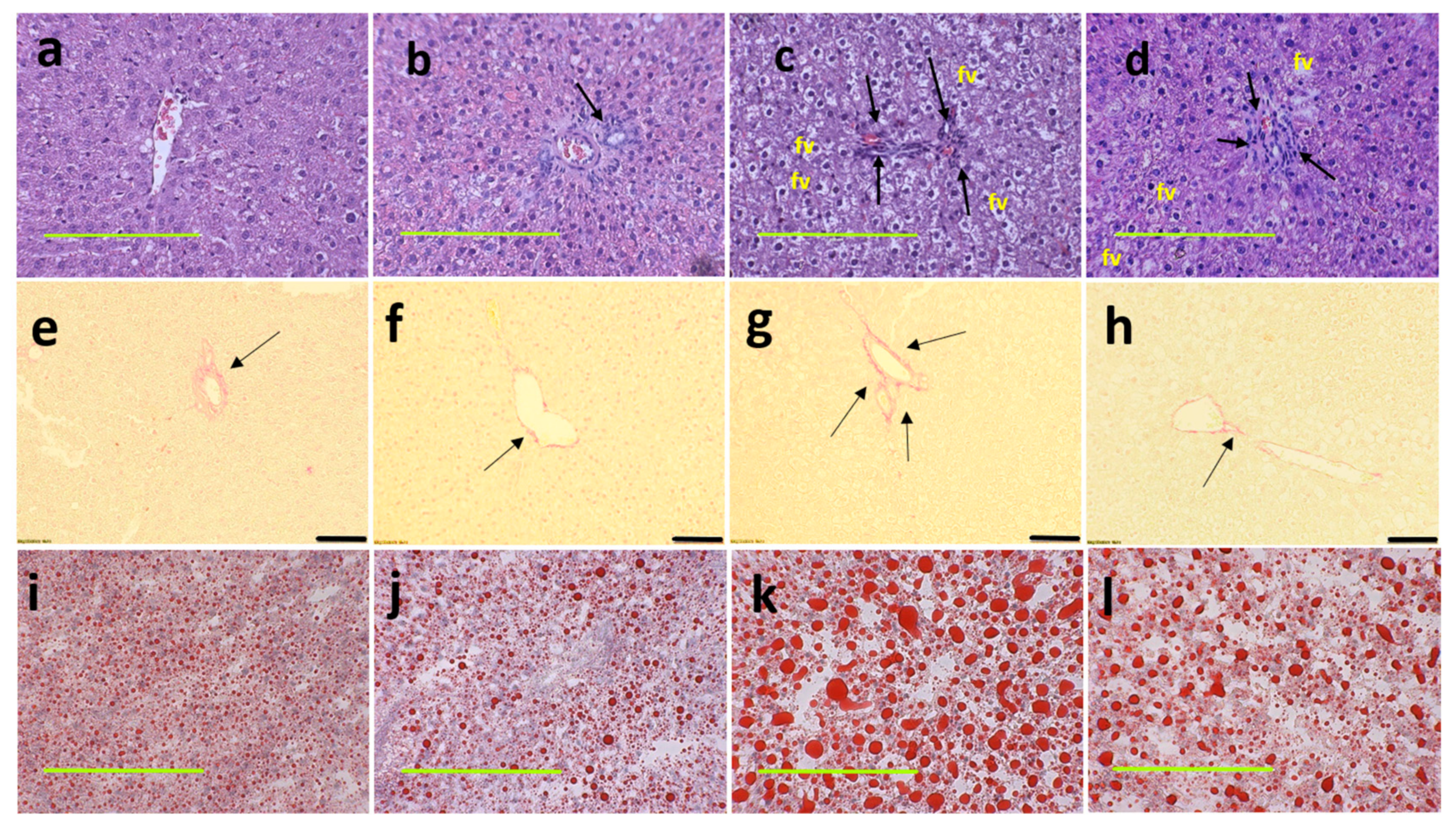 Nutrients 13 00319 g003