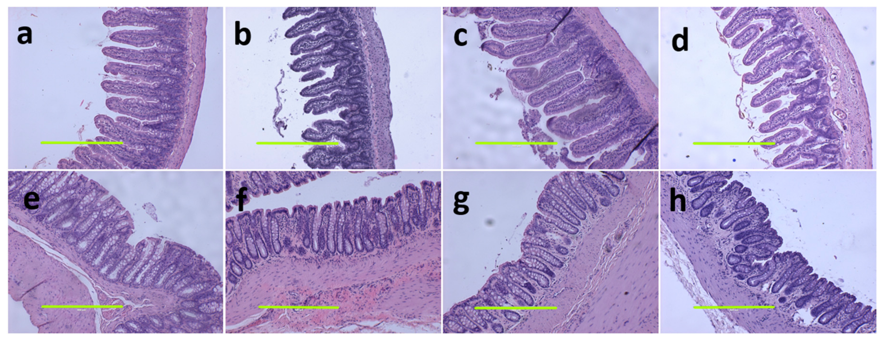 Nutrients 13 00319 g004