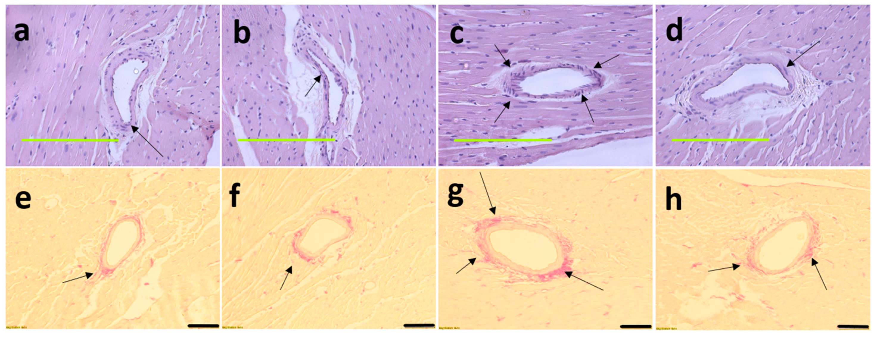 Nutrients 13 00319 g005