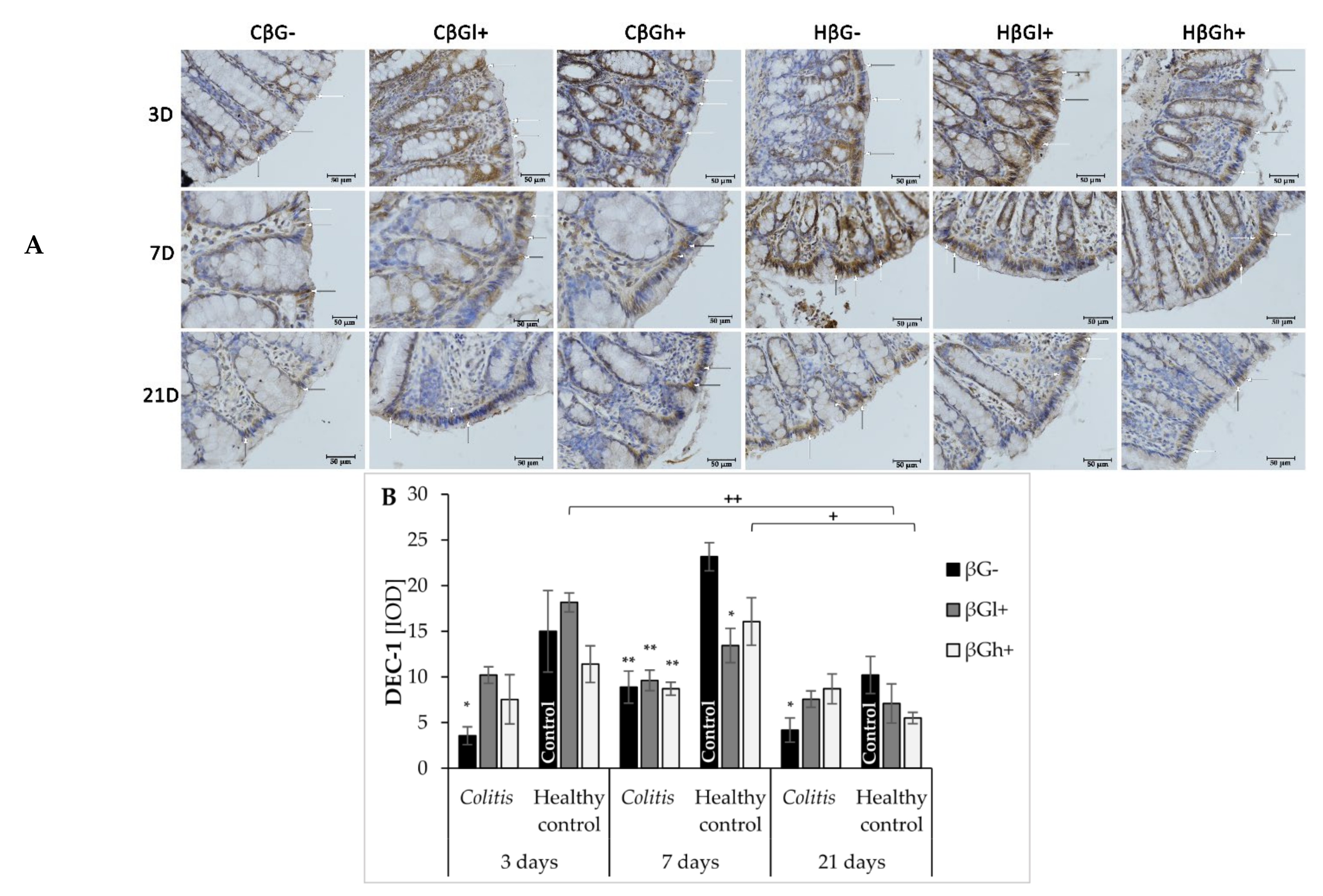 Nutrients 13 00321 g003