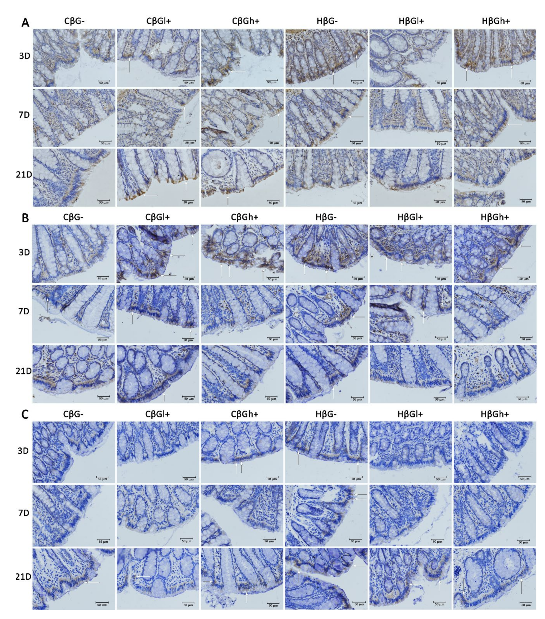 Nutrients 13 00321 g004a