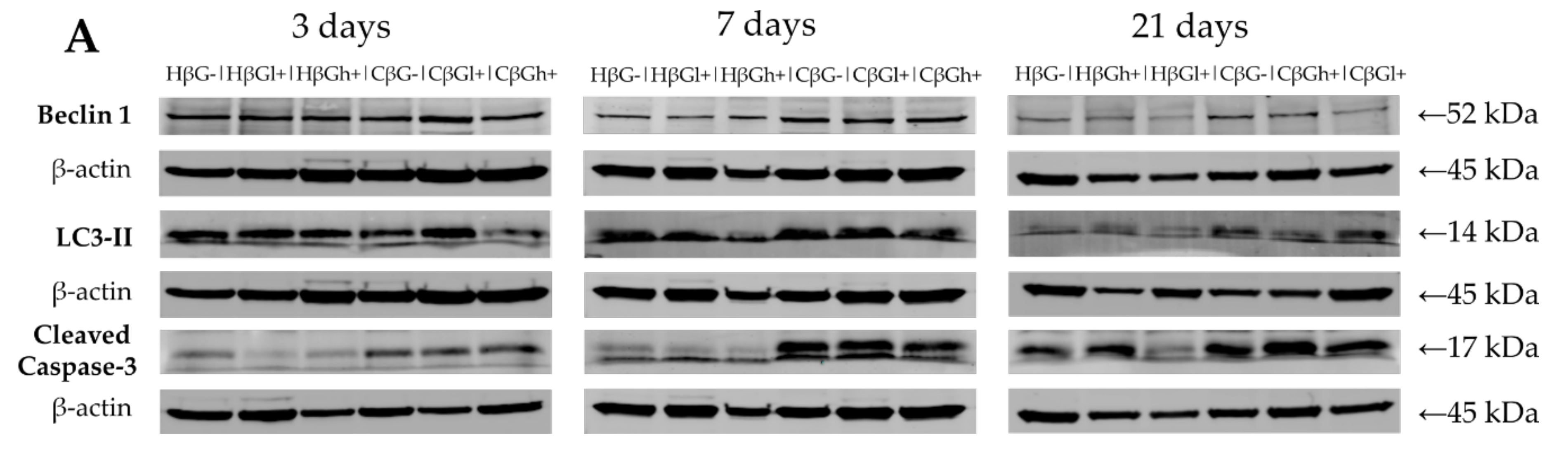 Nutrients 13 00321 g006a