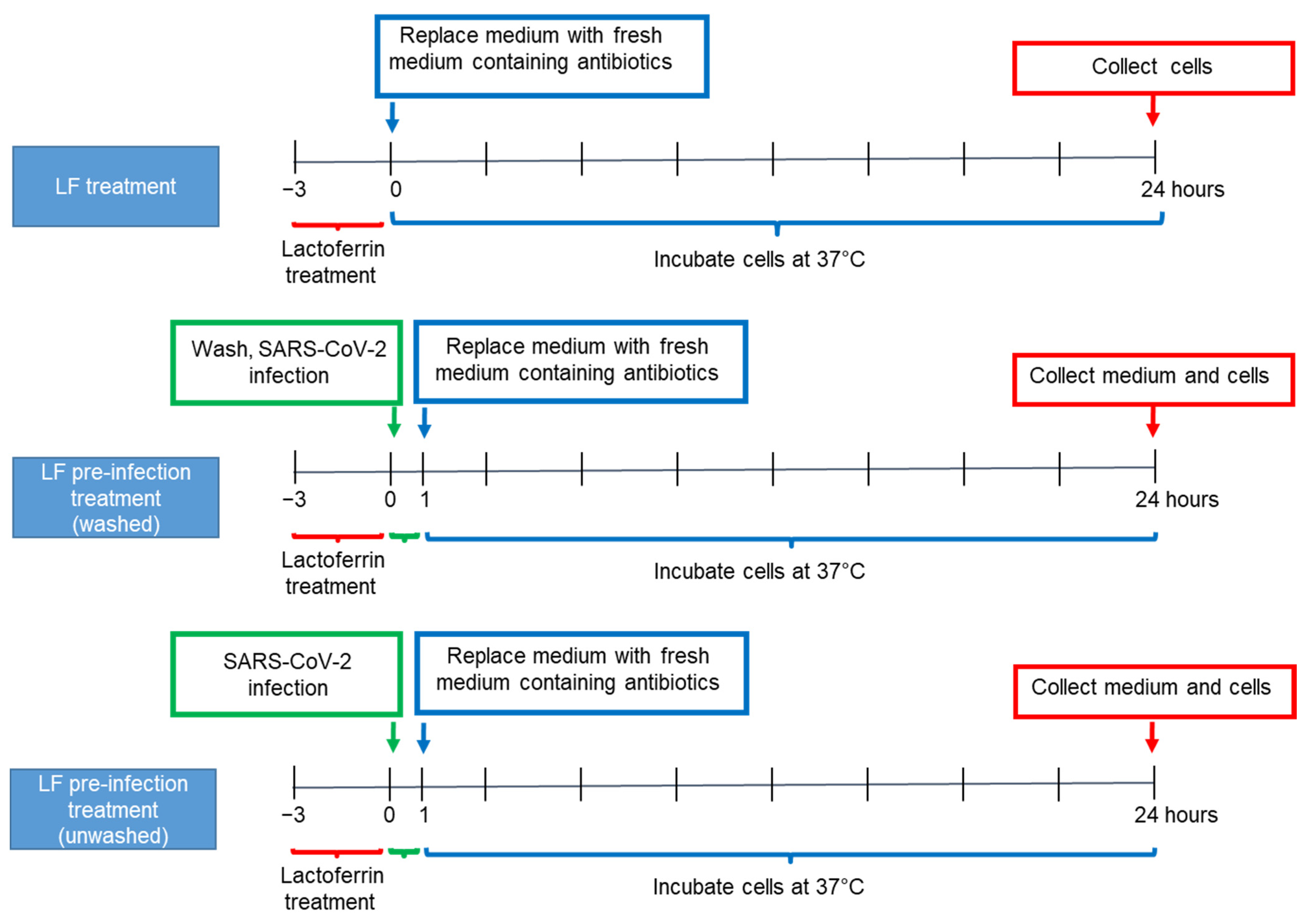 Nutrients 13 00328 g001 Nutrients 13 00328 g001