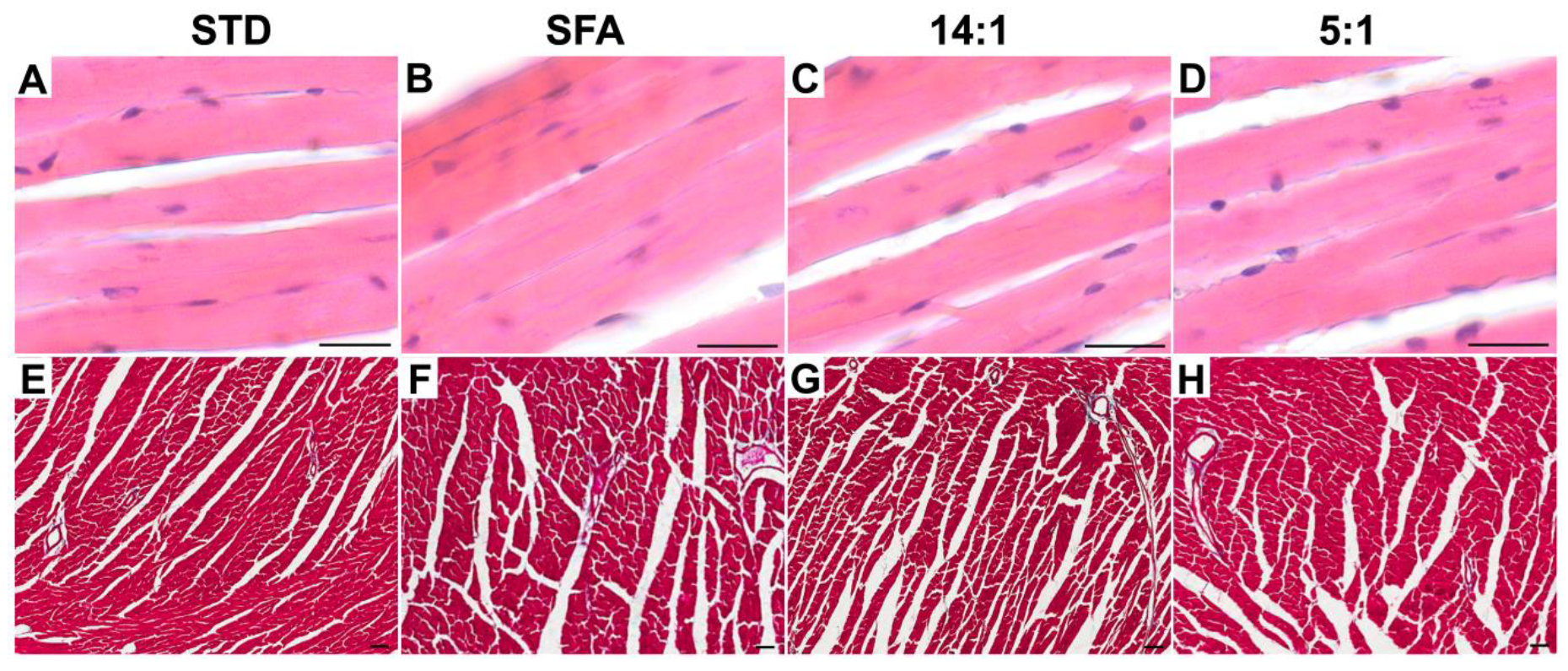 Nutrients 13 00330 g001