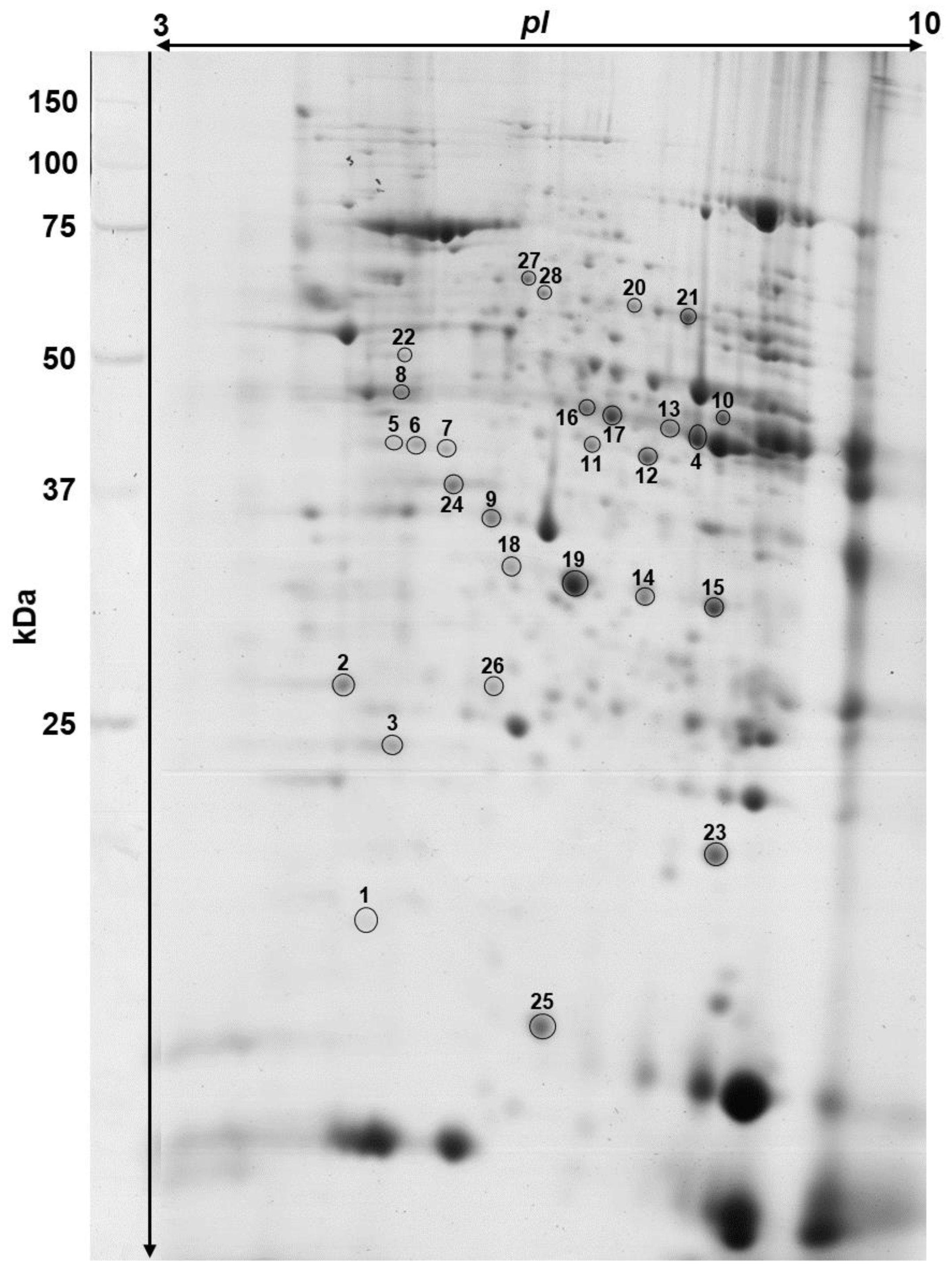 Nutrients 13 00330 g002