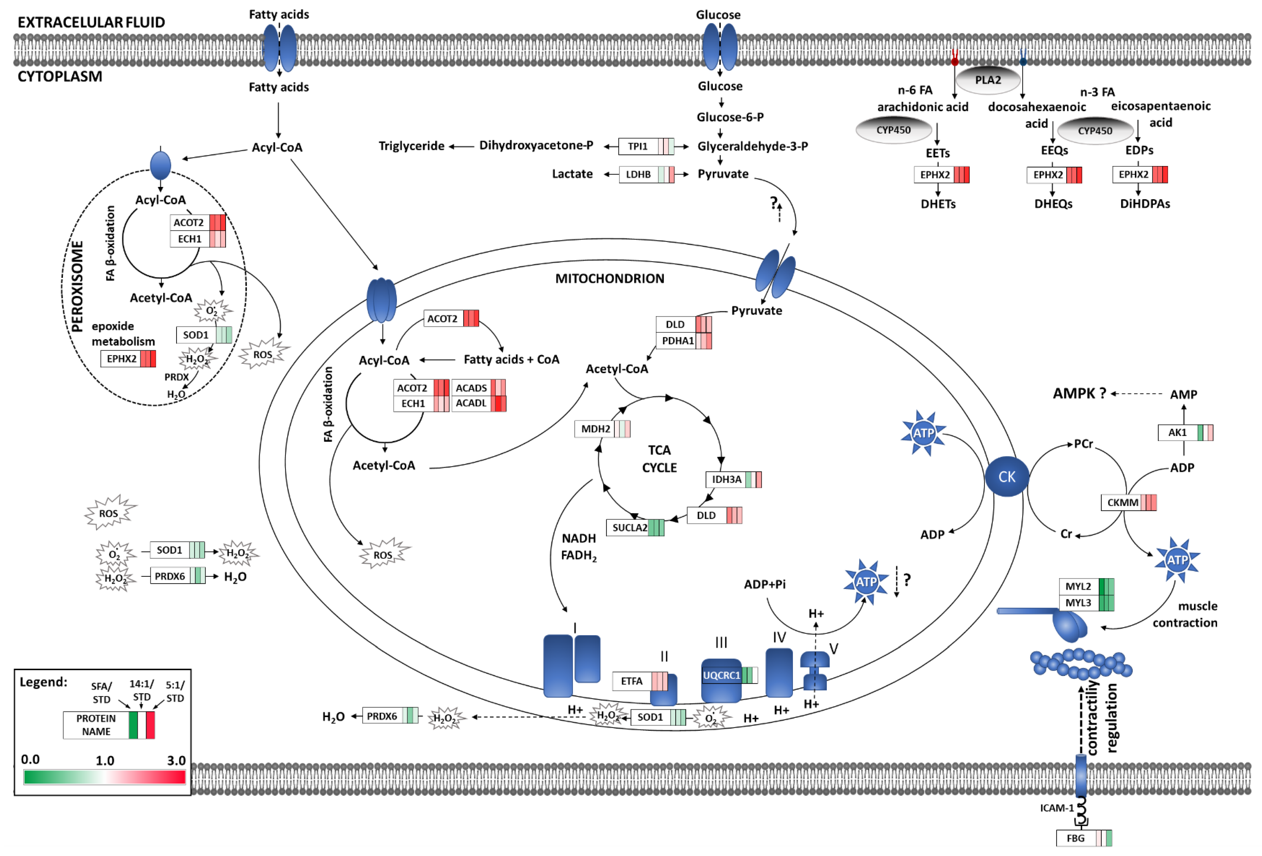 Nutrients 13 00330 g005