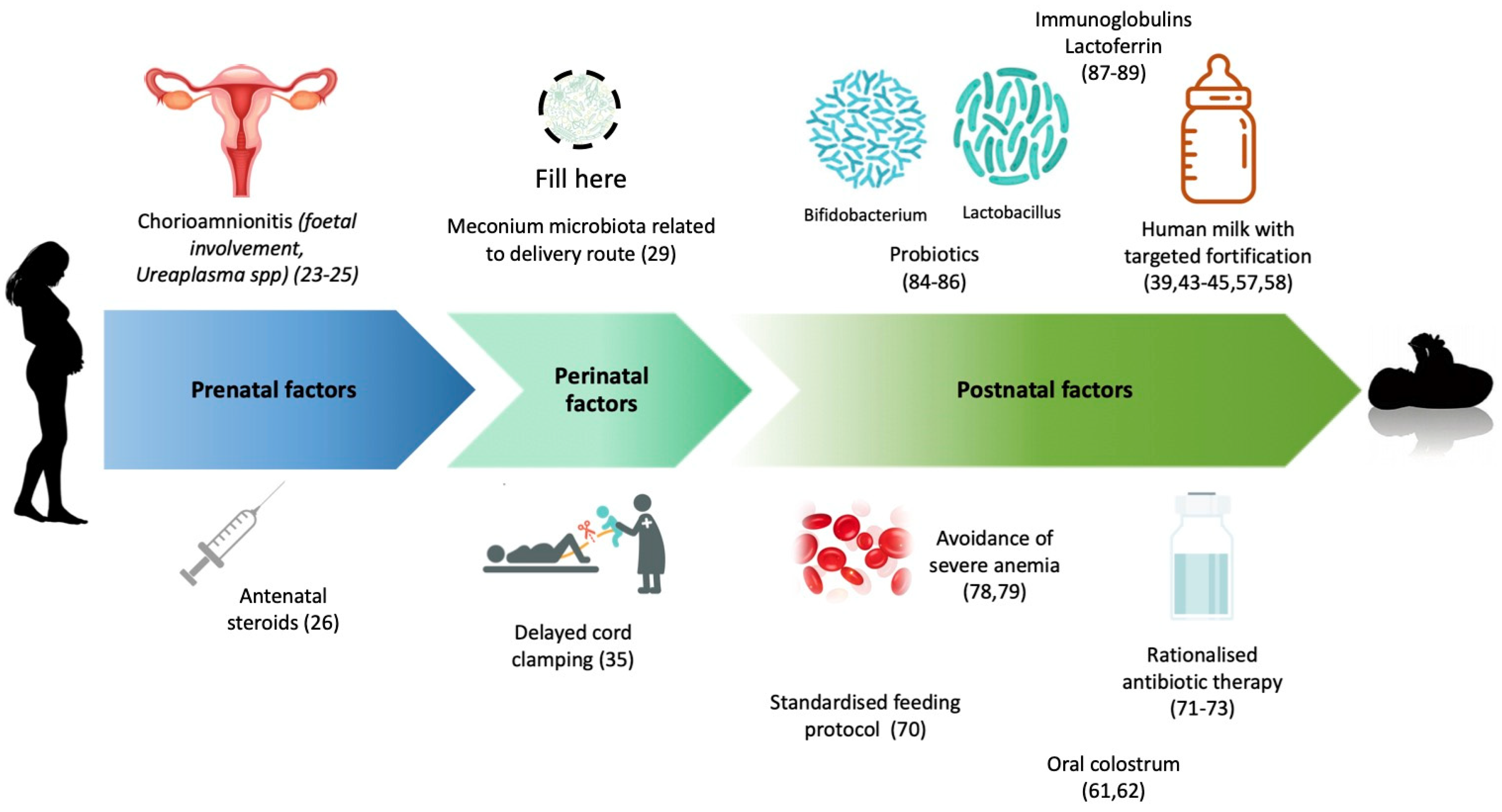 Nutrients 13 00340 g001